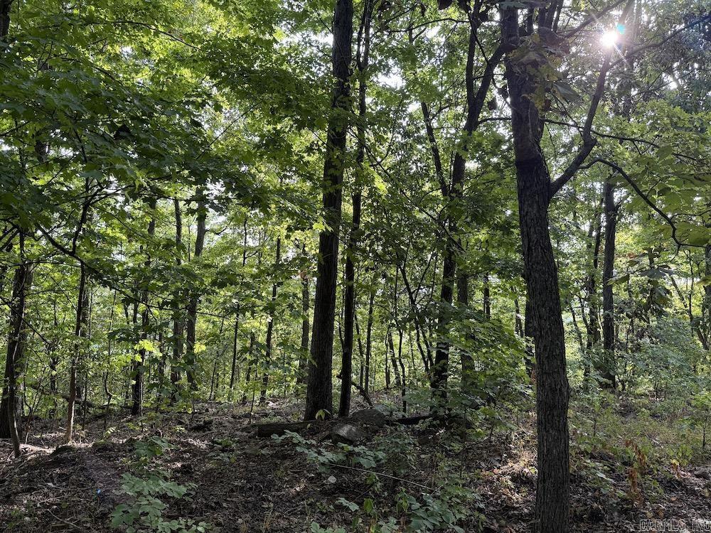 Lick Fork Road, Property Photo 39