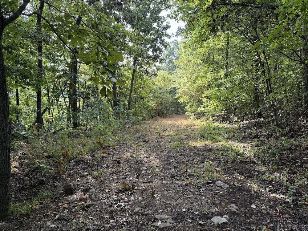 Lick Fork Road, Property Photo 40