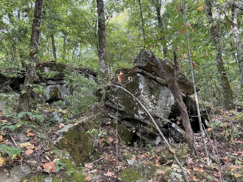 Lick Fork Road, Property Photo 41