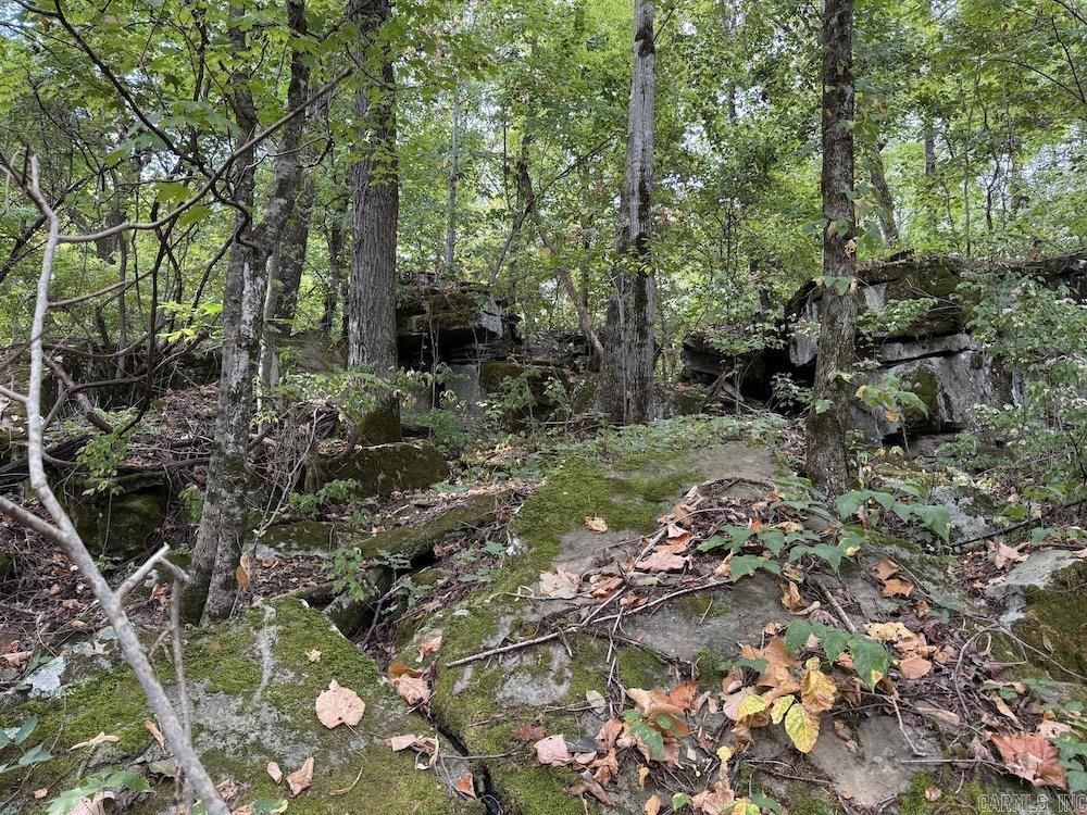 Lick Fork Road, Property Photo 42