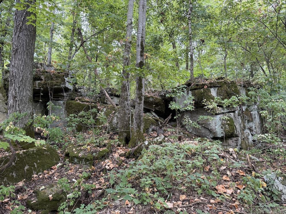 Lick Fork Road, Property Photo 43