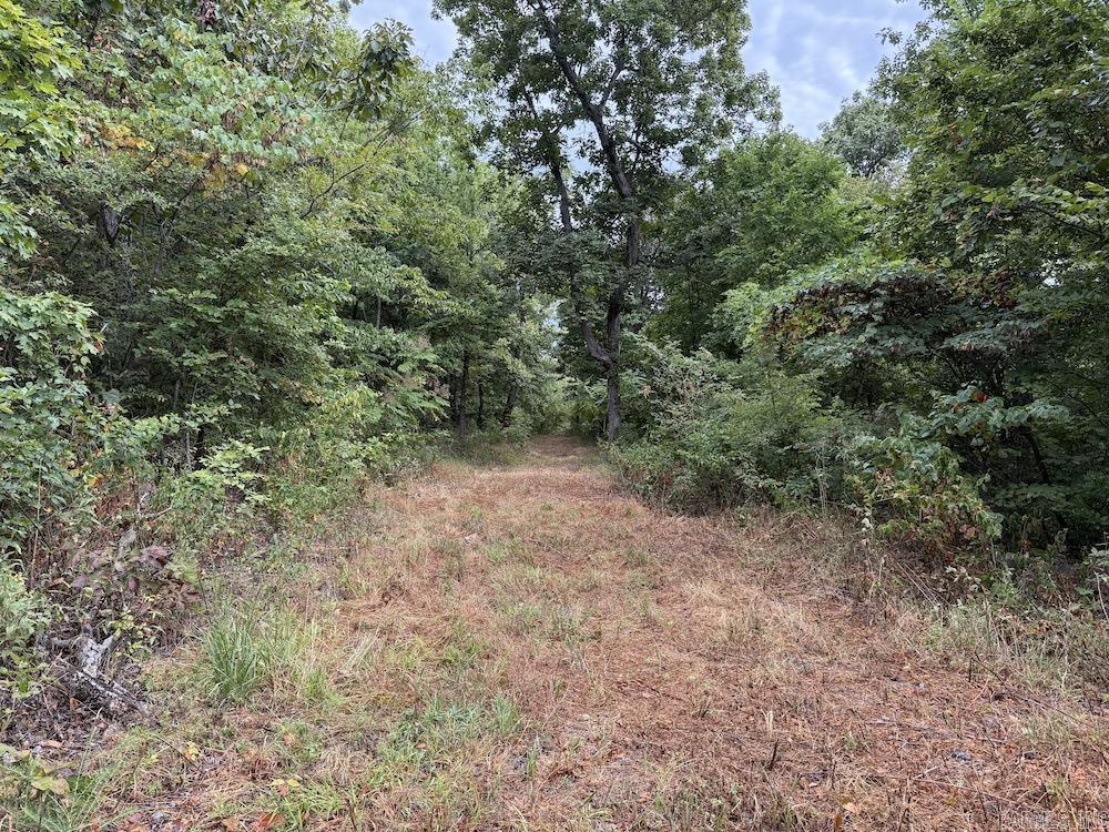 Lick Fork Road, Property Photo 45