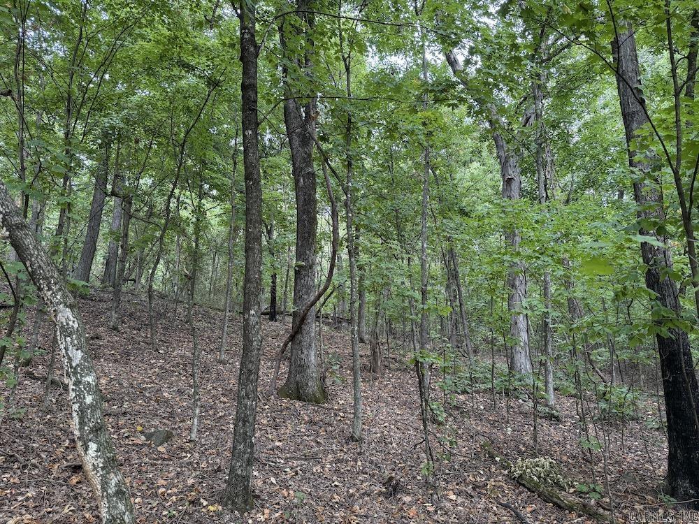 Lick Fork Road, Property Photo 46