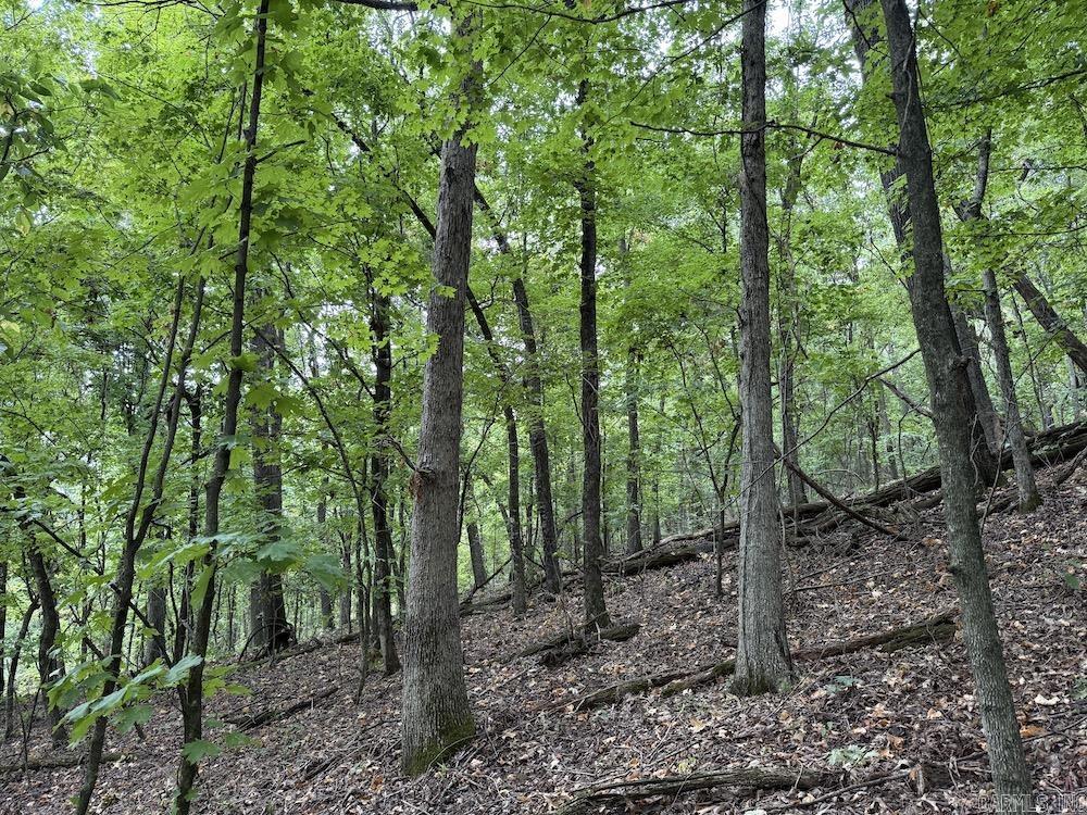 Lick Fork Road, Property Photo 47