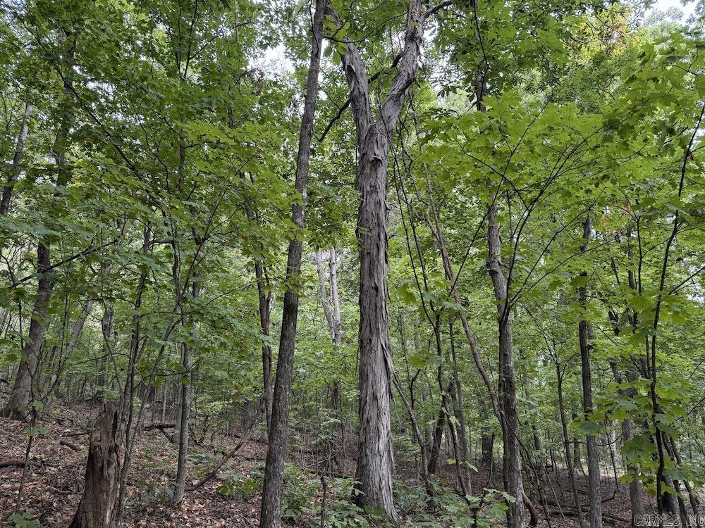 Lick Fork Road, Property Photo 48