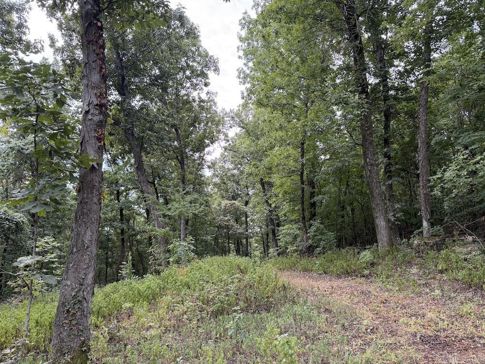 Lick Fork Road, Property Photo 49