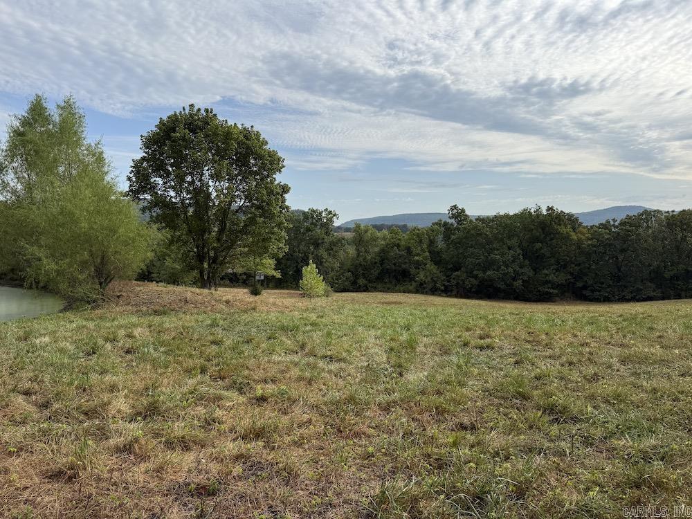 Lick Fork Road, Property Photo 50
