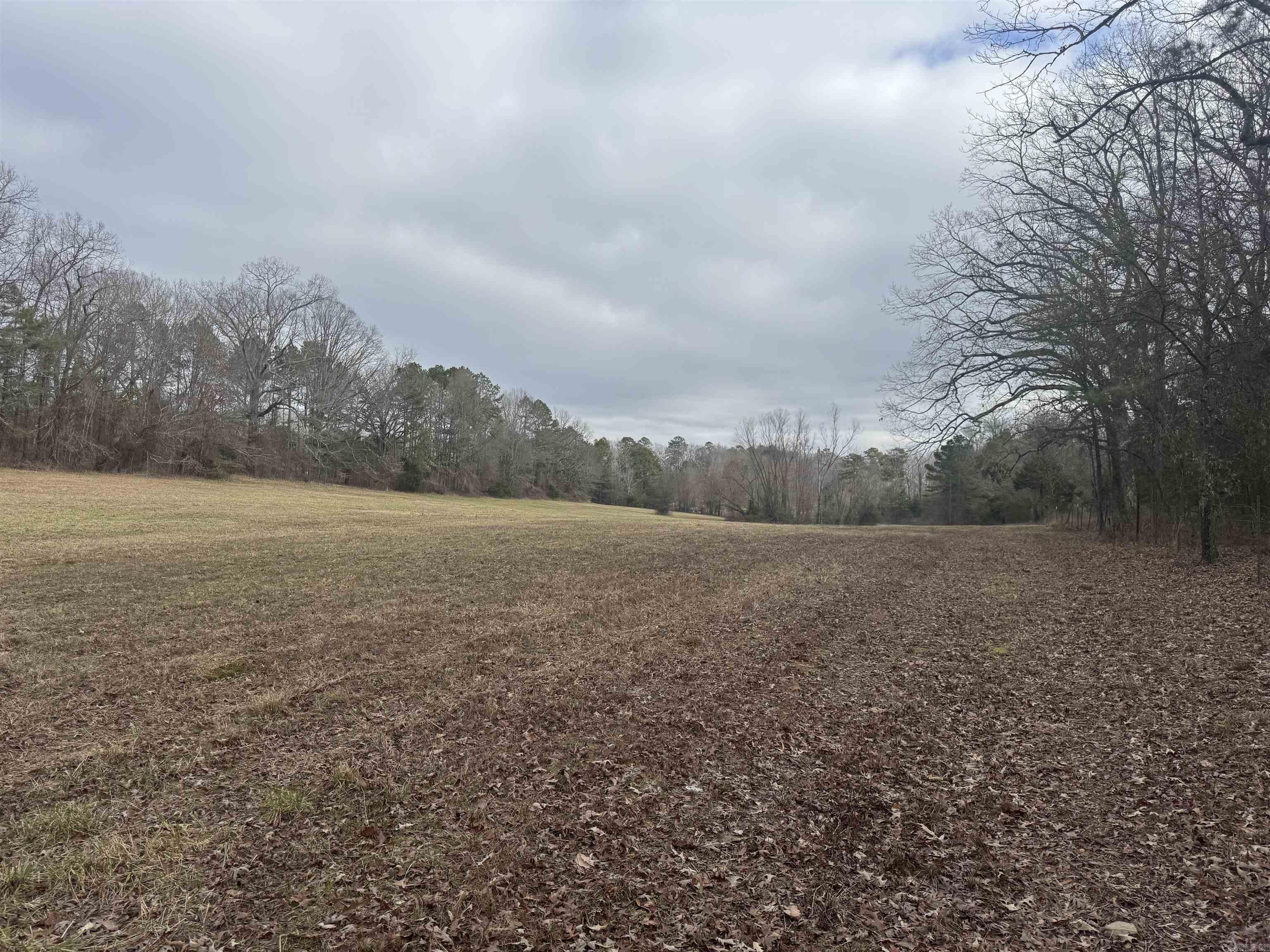 1687 Pearcy Road Property Photo 4