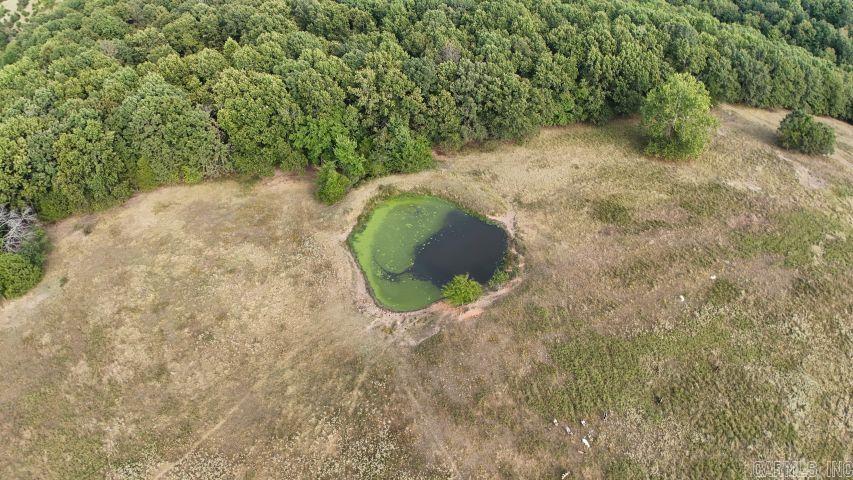 445 Hudspeth Lane Property Photo 3