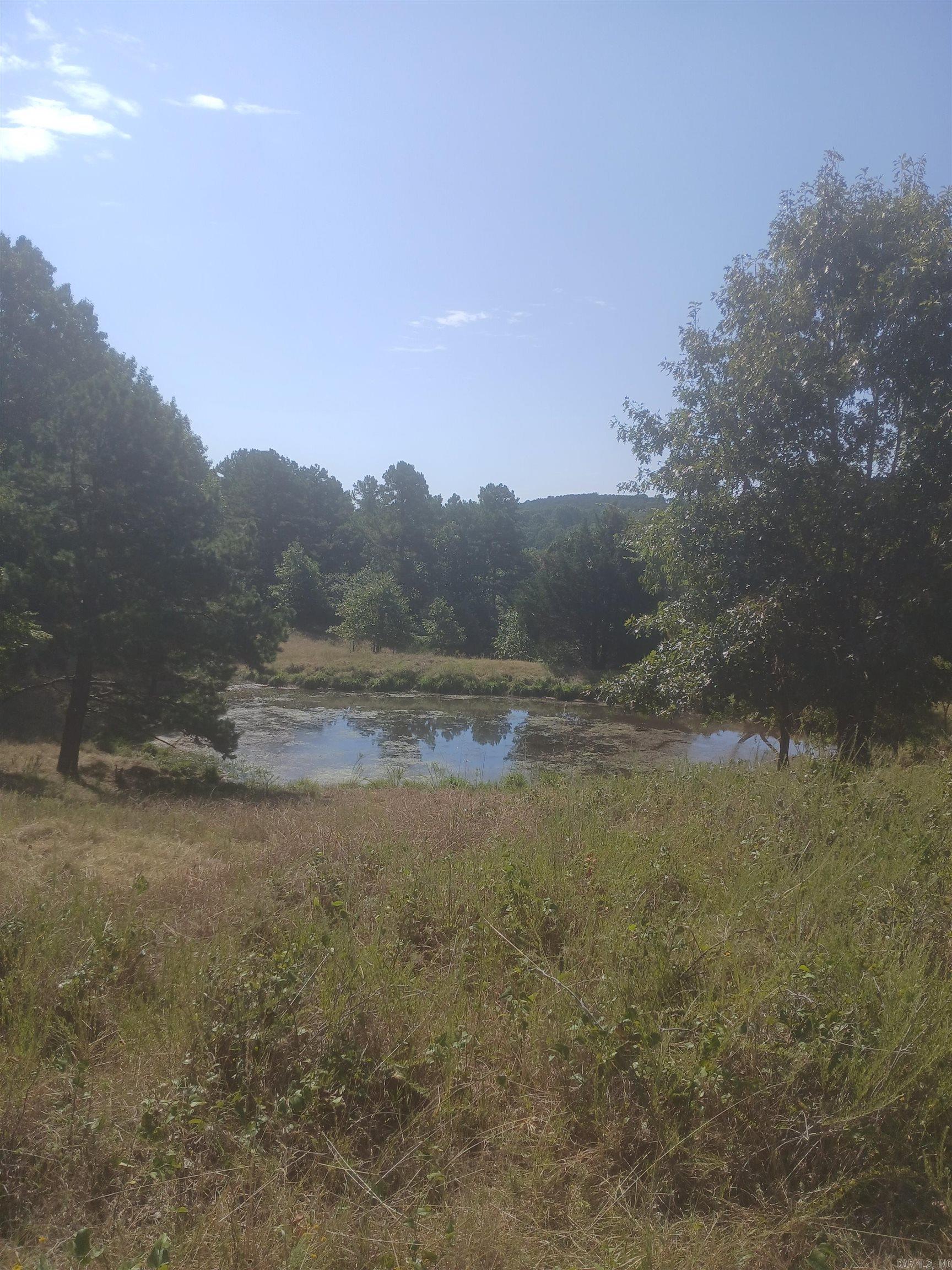 445 Hudspeth Lane Property Photo 4