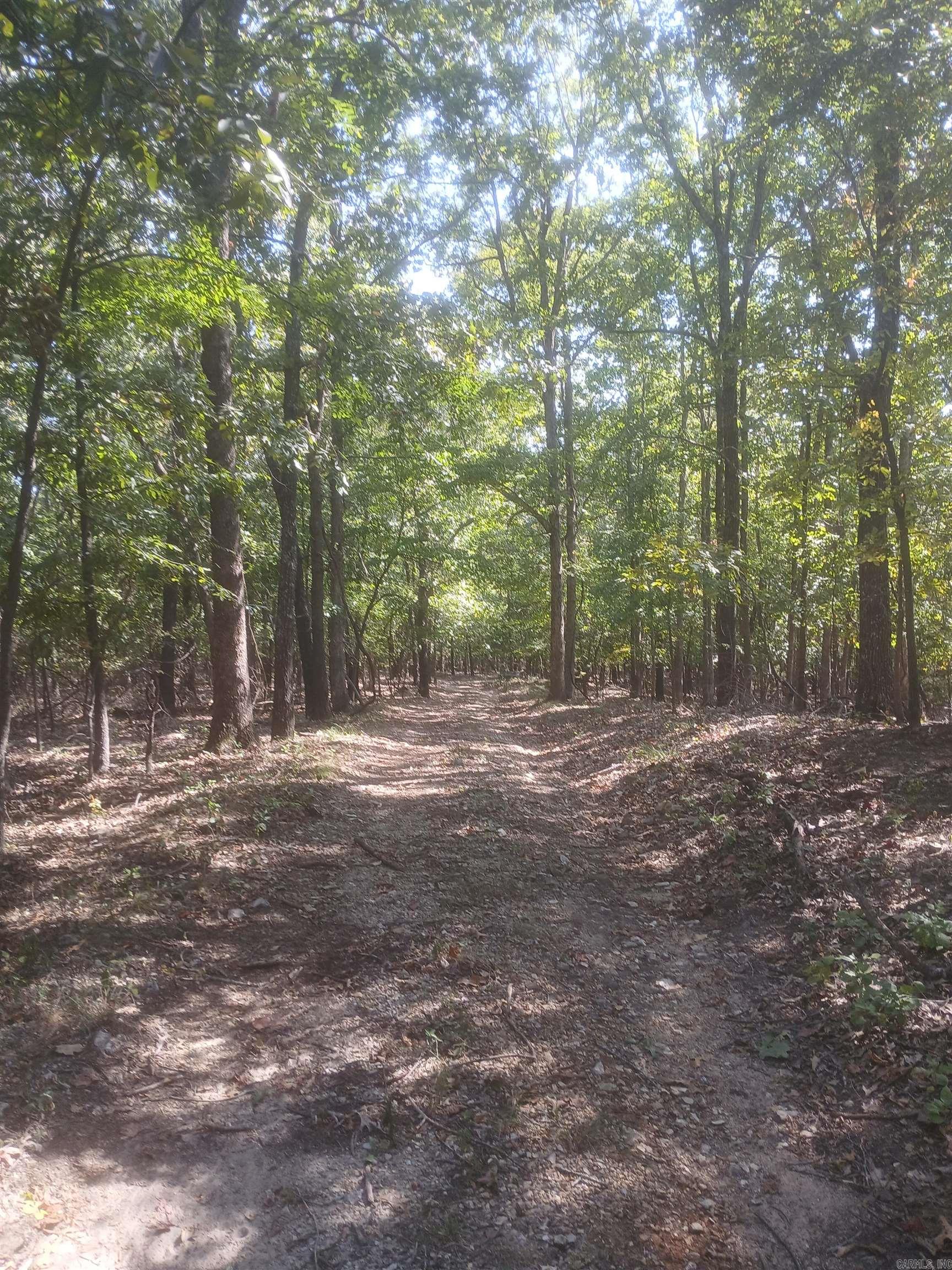 445 Hudspeth Lane Property Photo 15