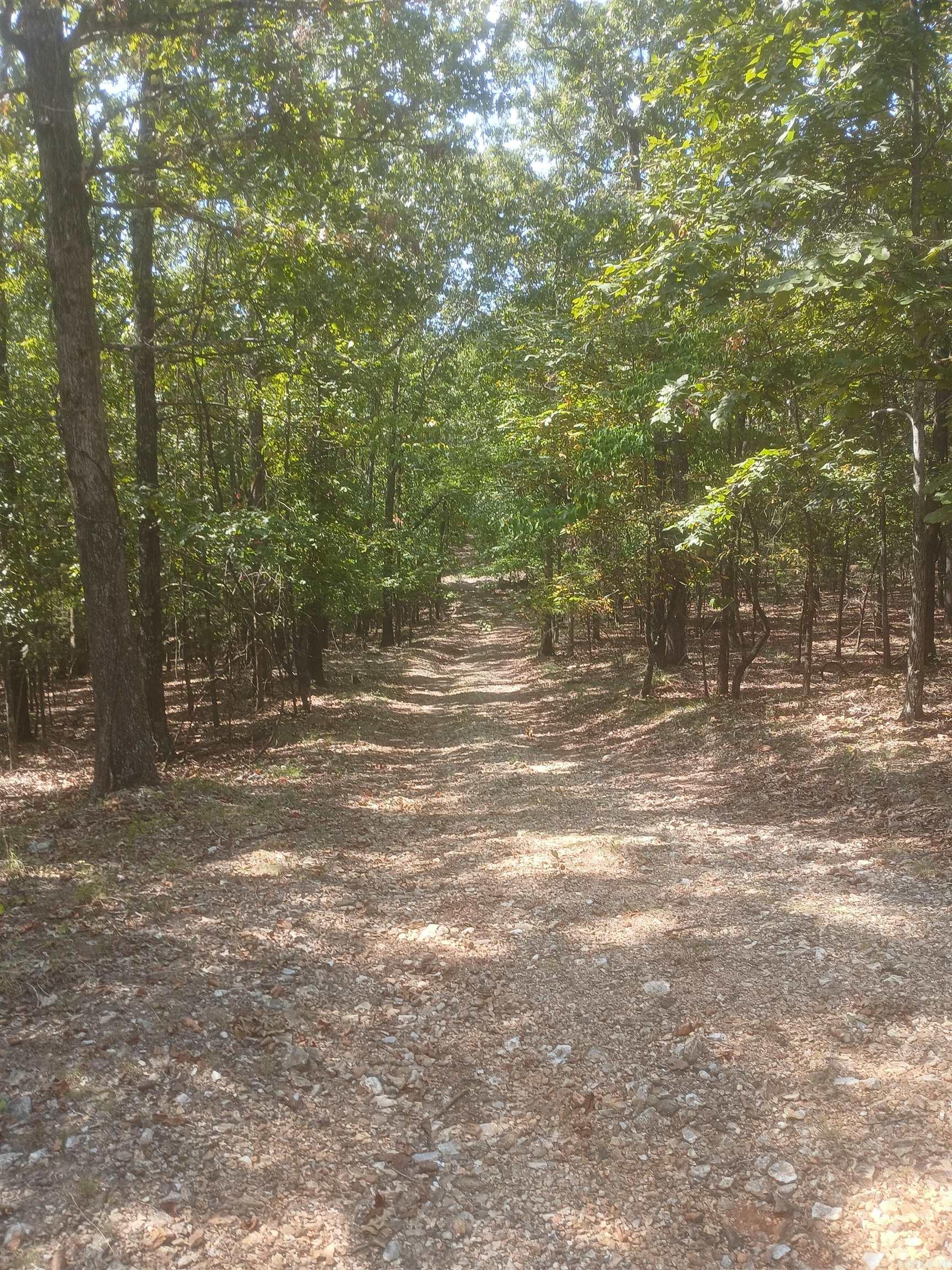 445 Hudspeth Lane Property Photo 16