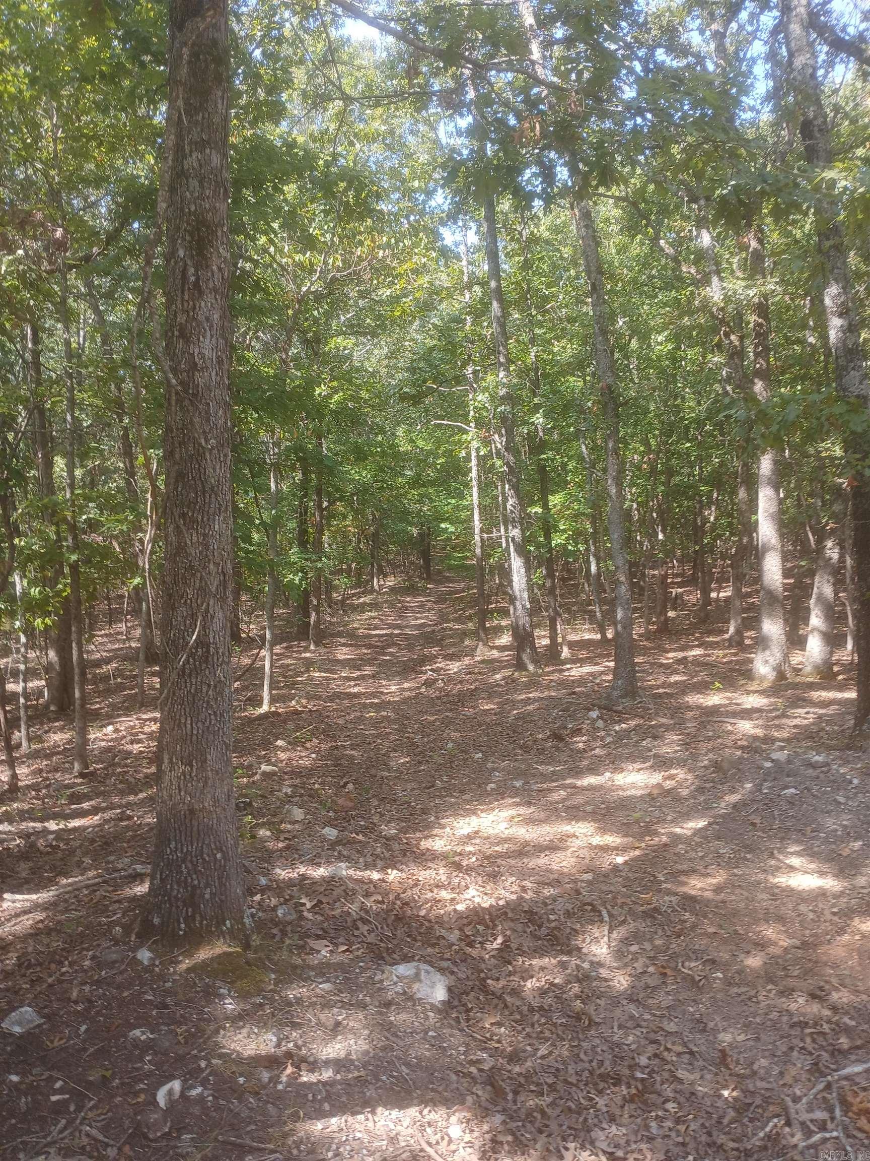 445 Hudspeth Lane Property Photo 17