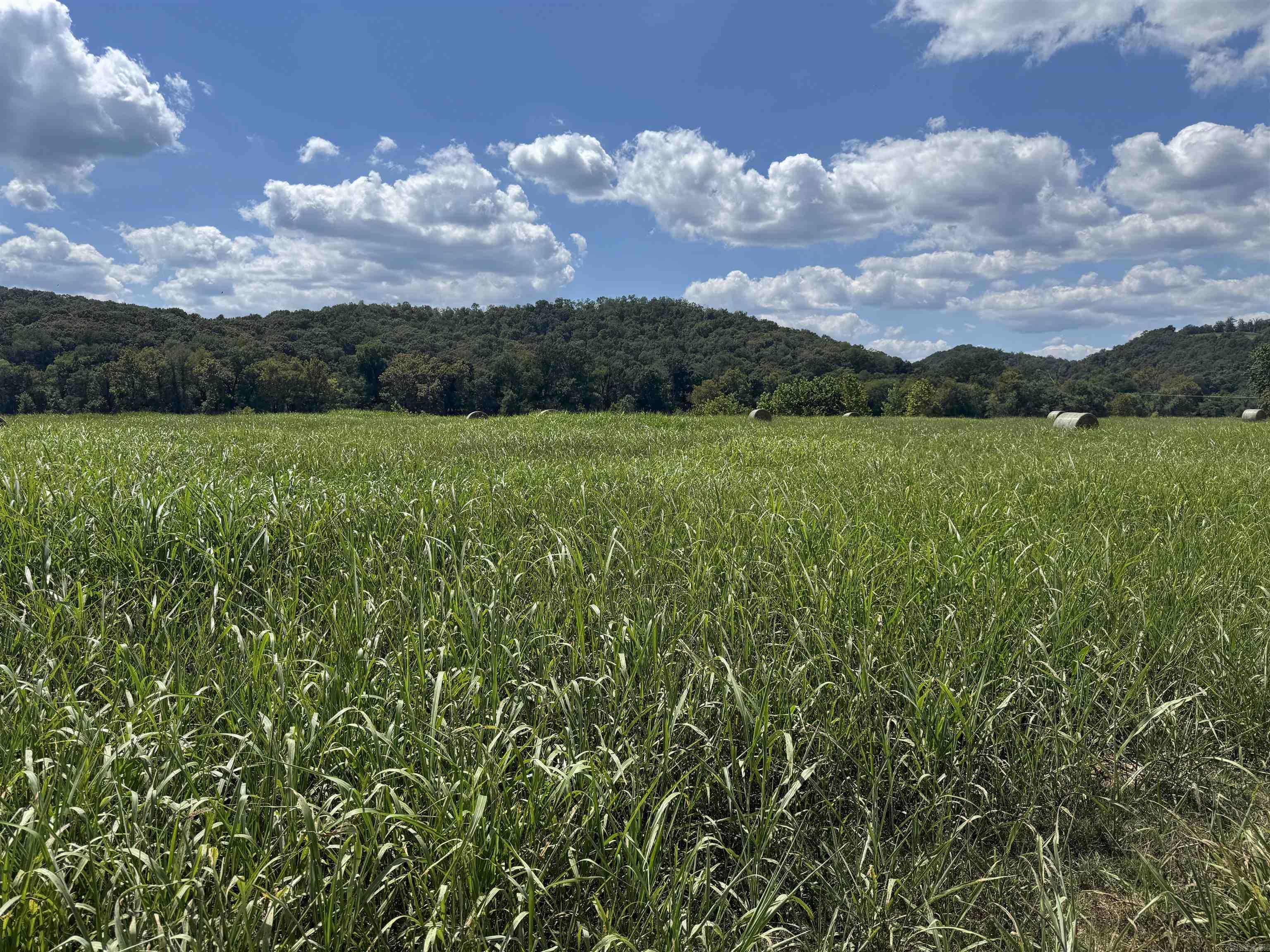 43 White River Run Property Photo 2