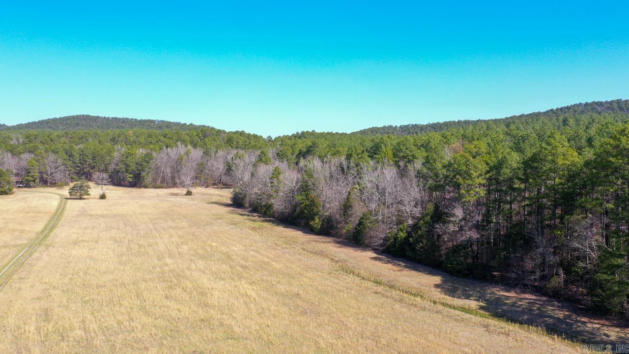 207 Rains Lane Property Photo 6