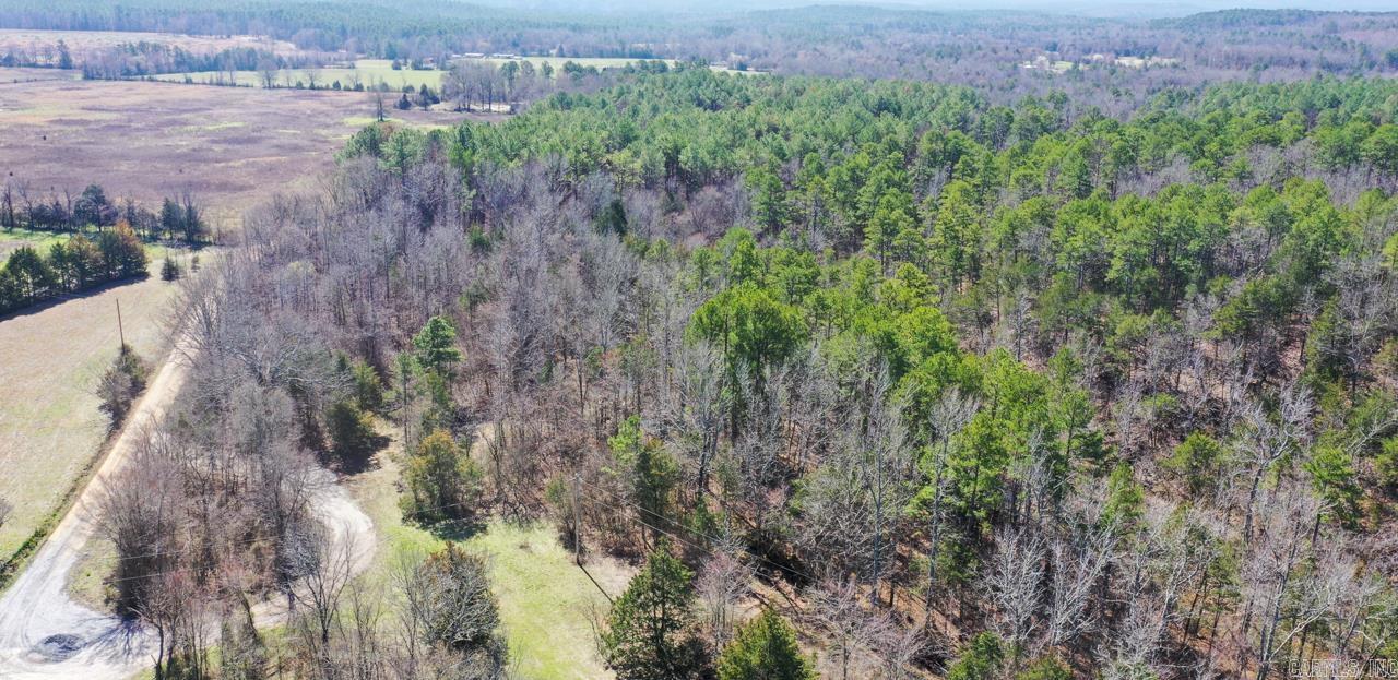 207 Rains Lane Property Photo 8