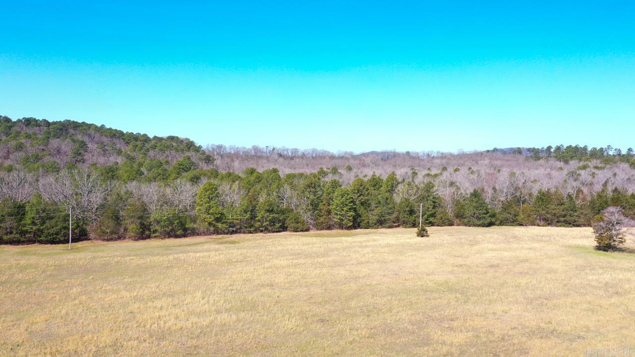 207 Rains Lane Property Photo 11