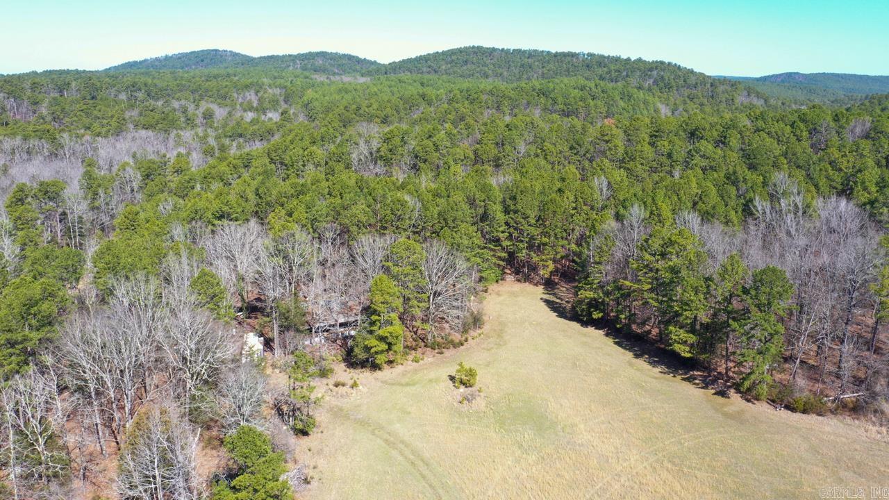 207 Rains Lane Property Photo 19