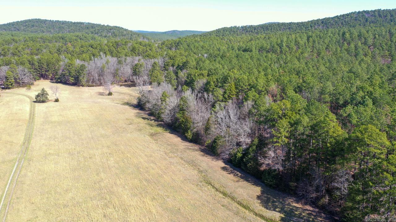 207 Rains Lane Property Photo 25