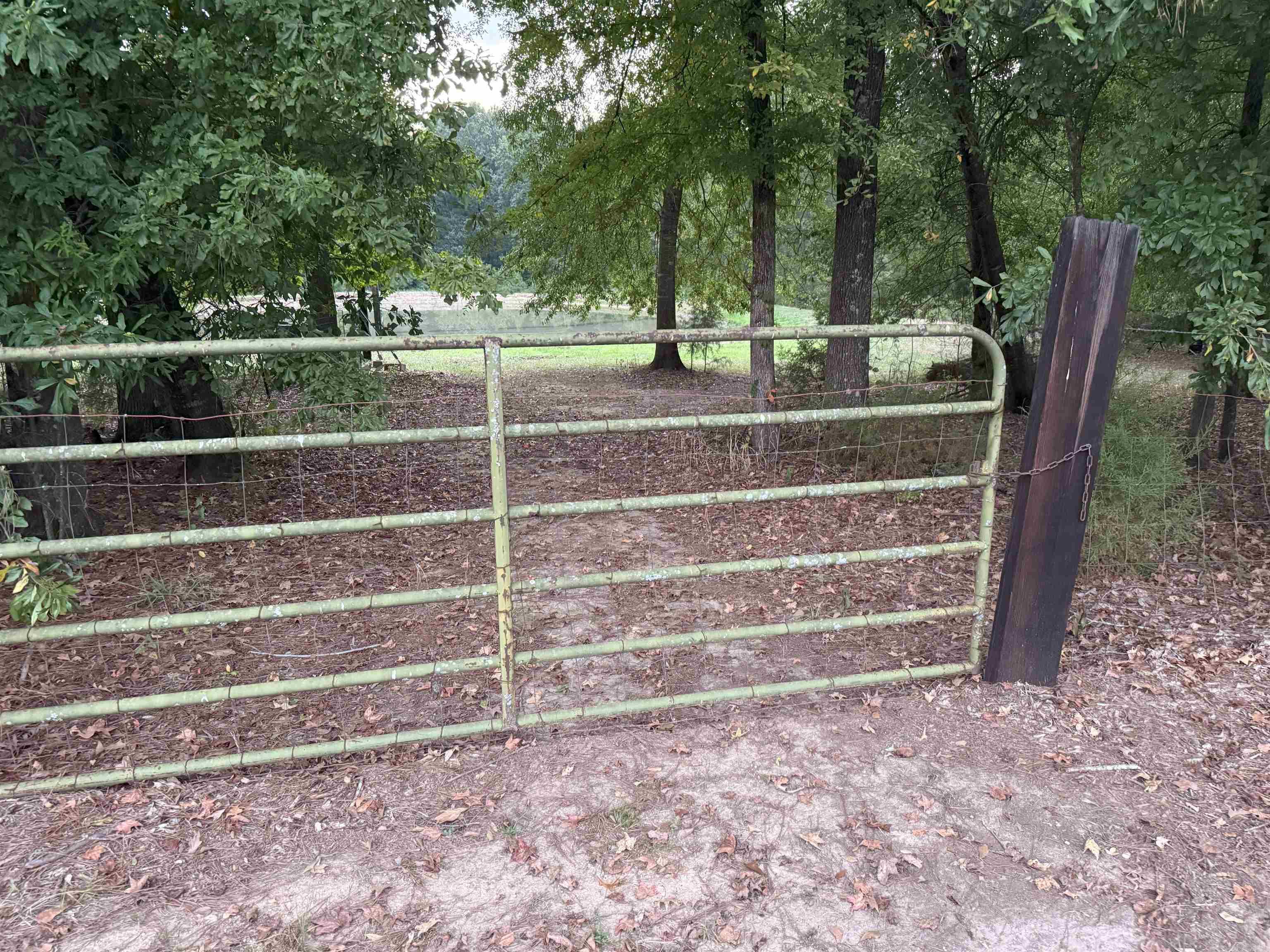 11360 Hwy 189 Road Property Photo 41