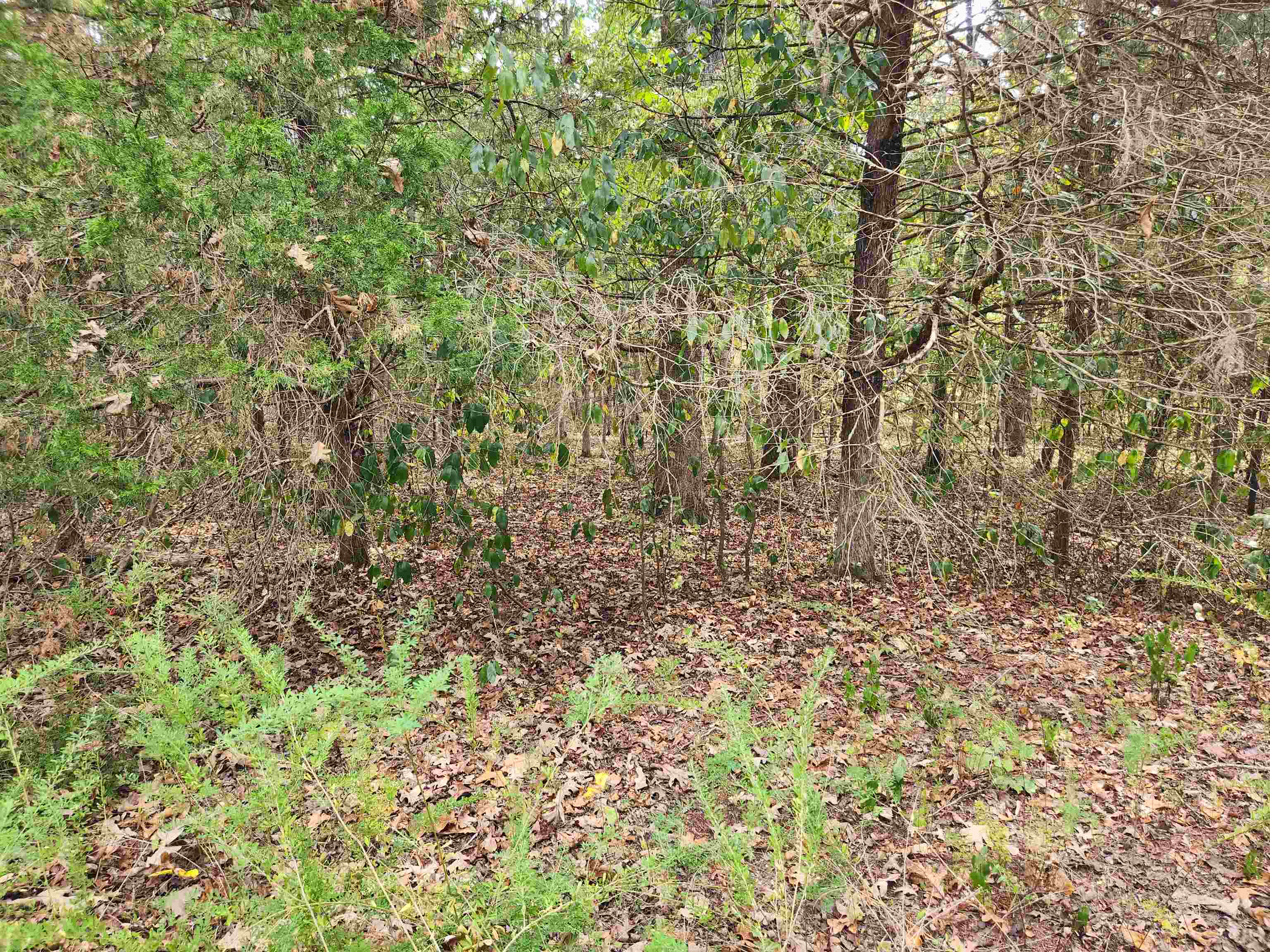 L24b3 Bokchito Drive Property Photo 2