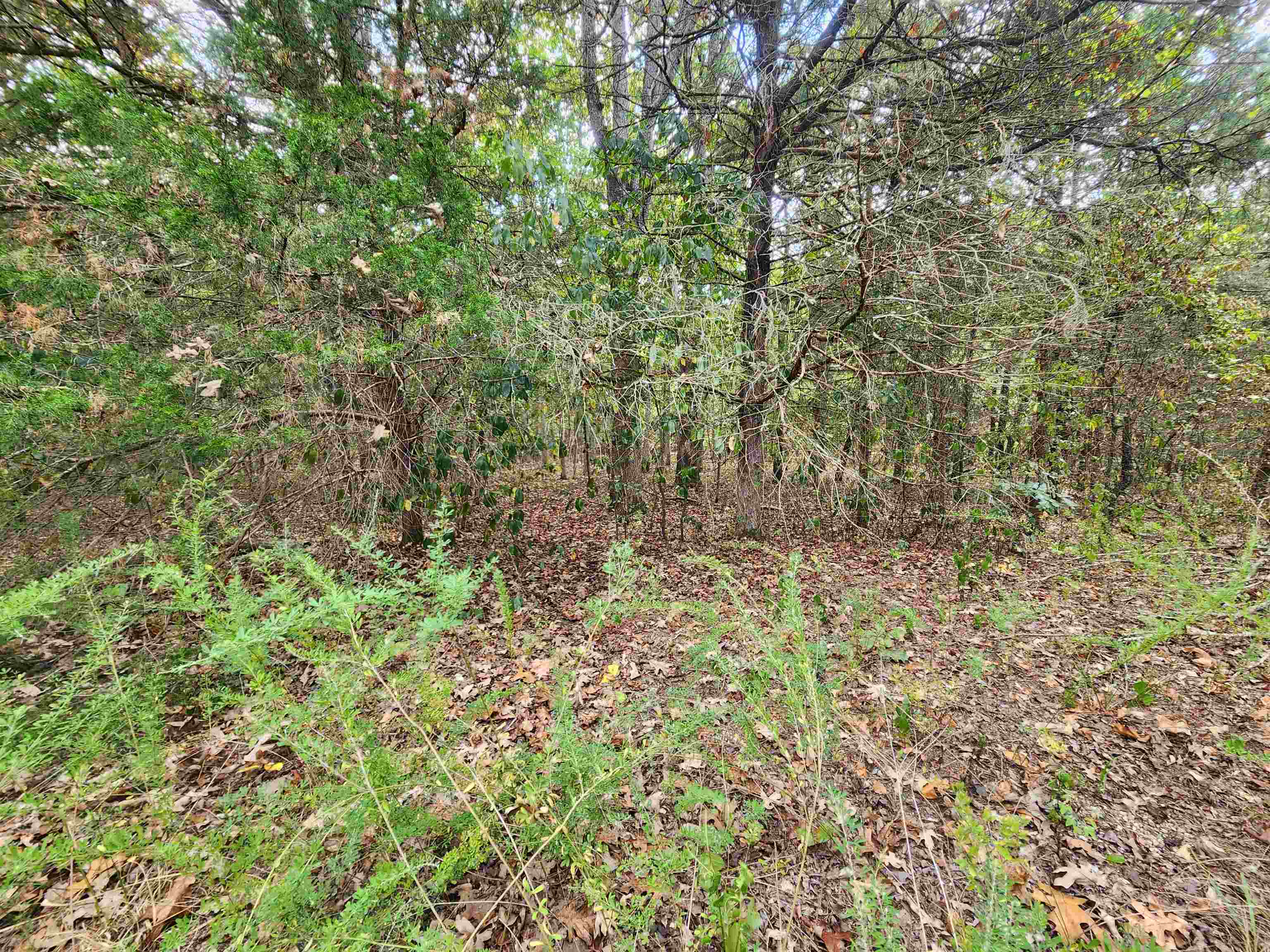 L24b3 Bokchito Drive Property Photo 8
