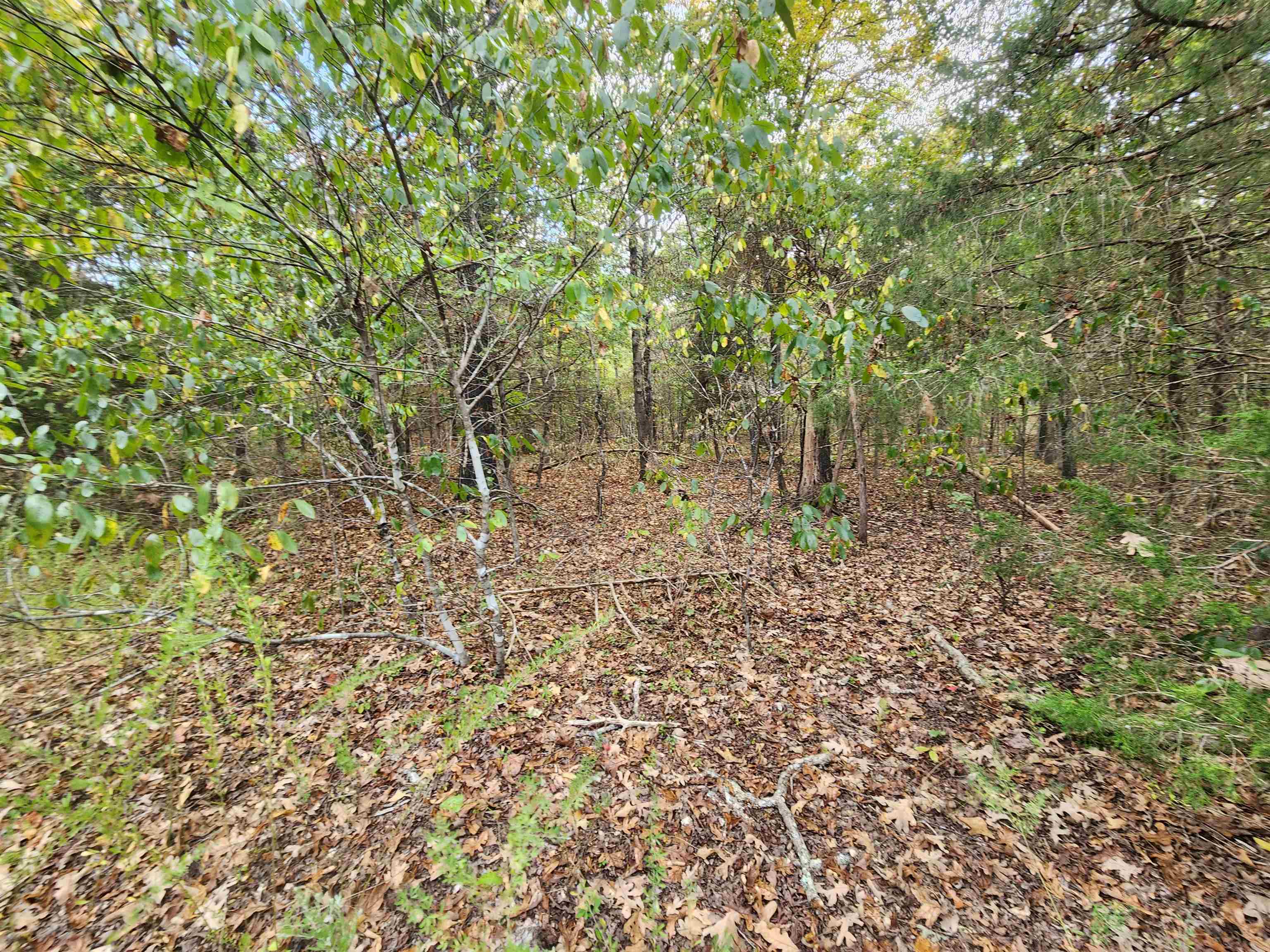 L24b3 Bokchito Drive Property Photo 10