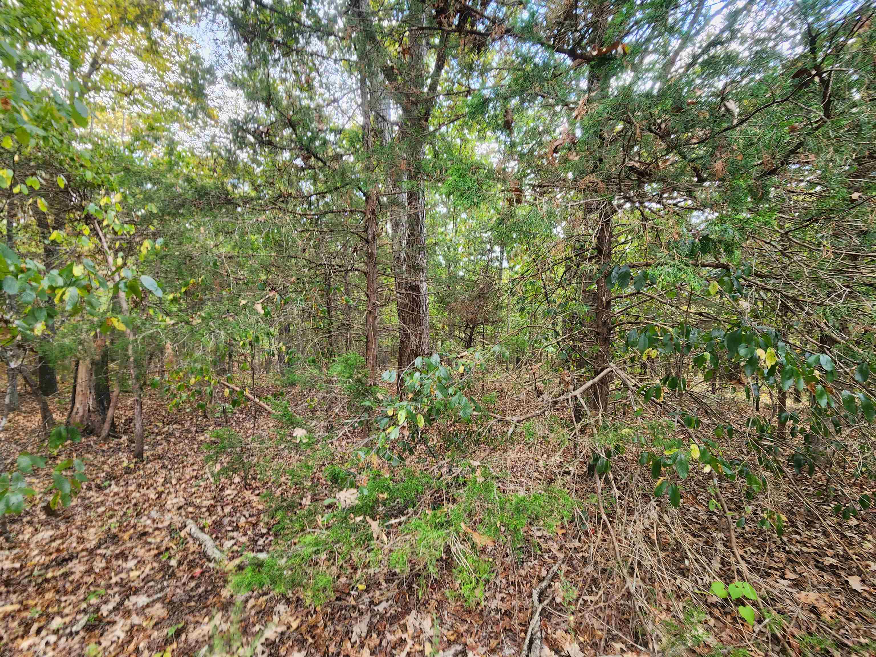 L24b3 Bokchito Drive Property Photo 11
