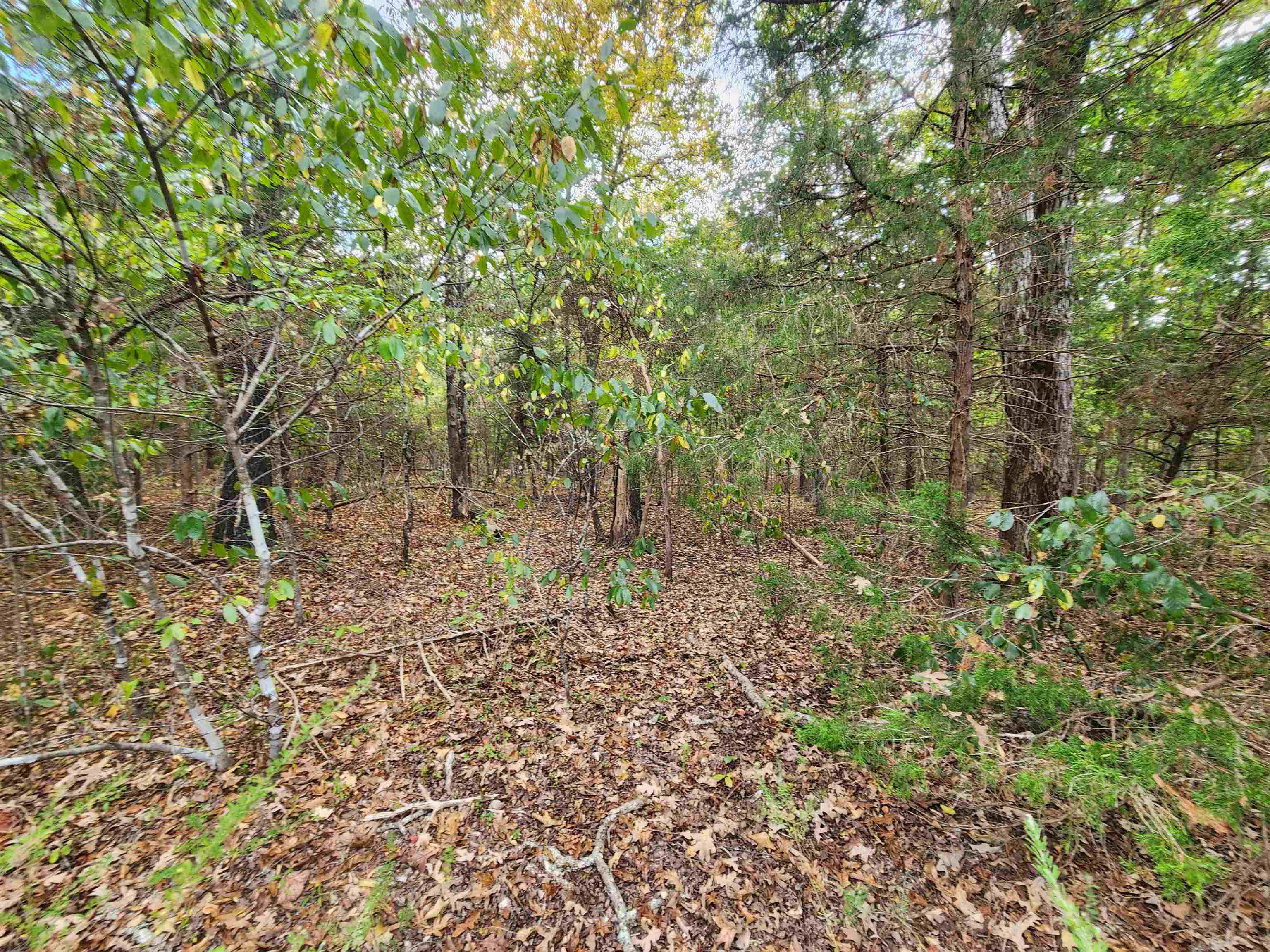 L24b3 Bokchito Drive Property Photo 12
