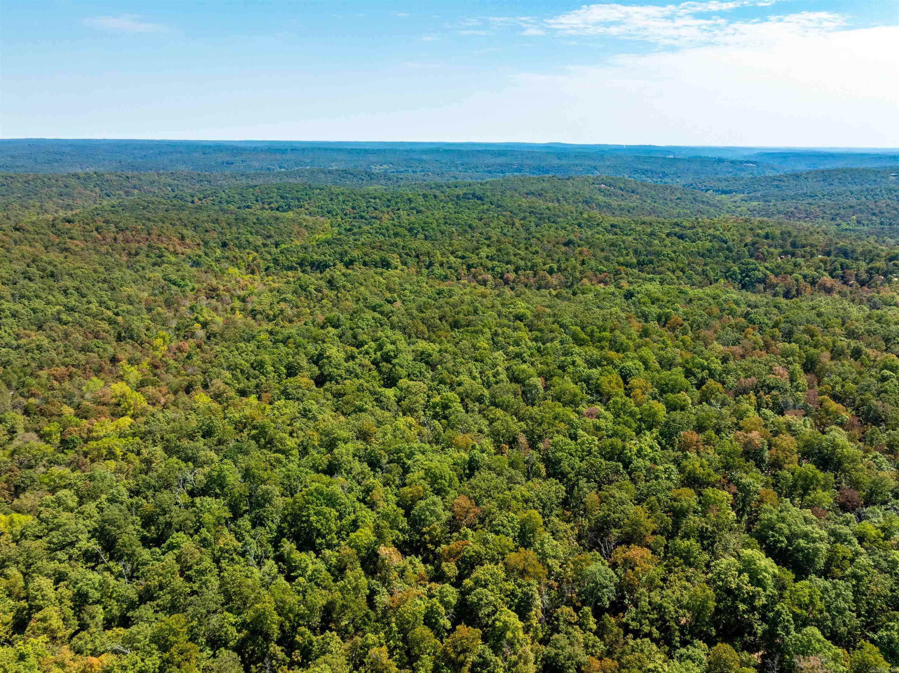 Tbd Red Fox Rd Property Photo 1