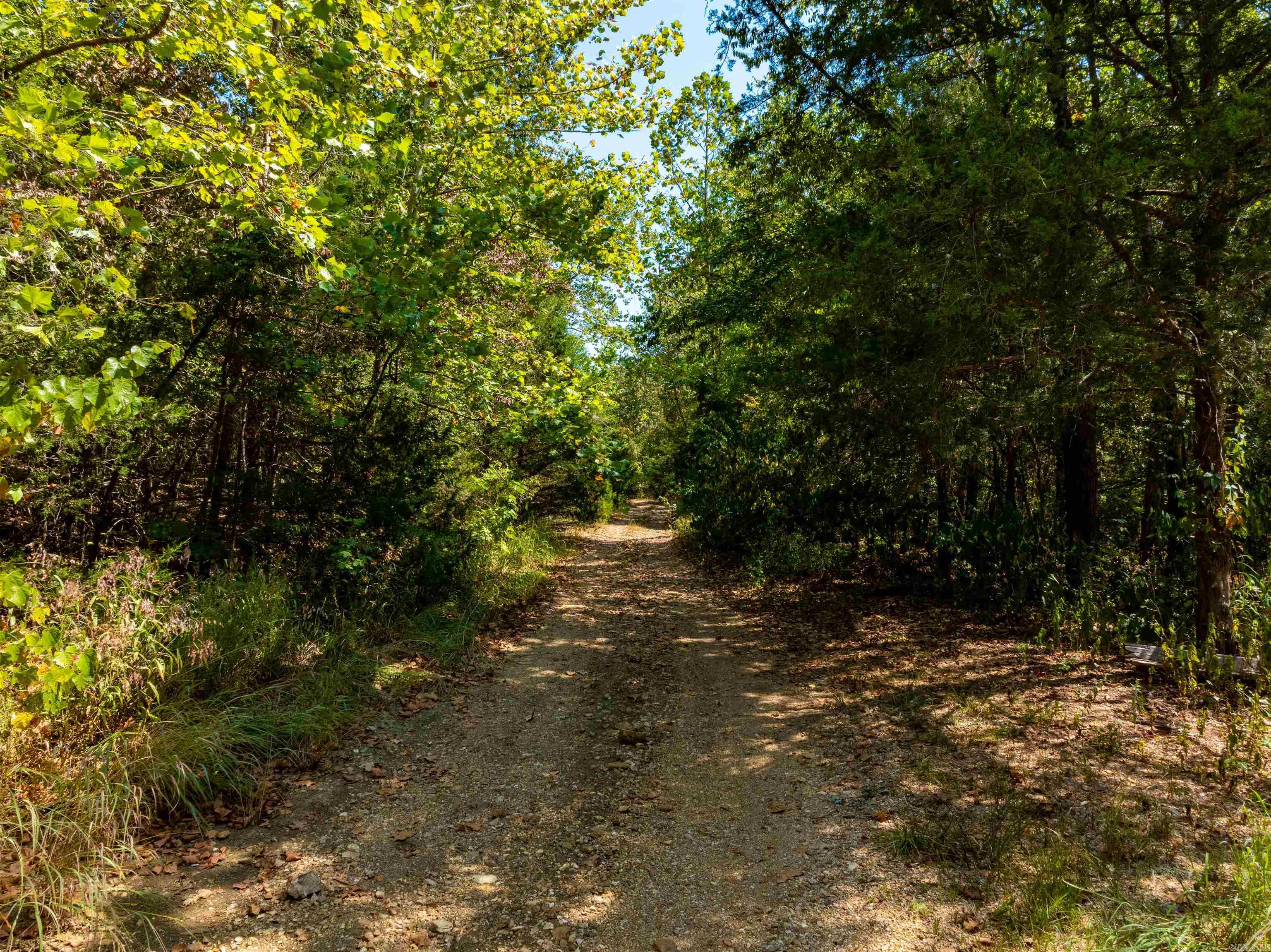 Tbd Red Fox Rd Property Photo 2