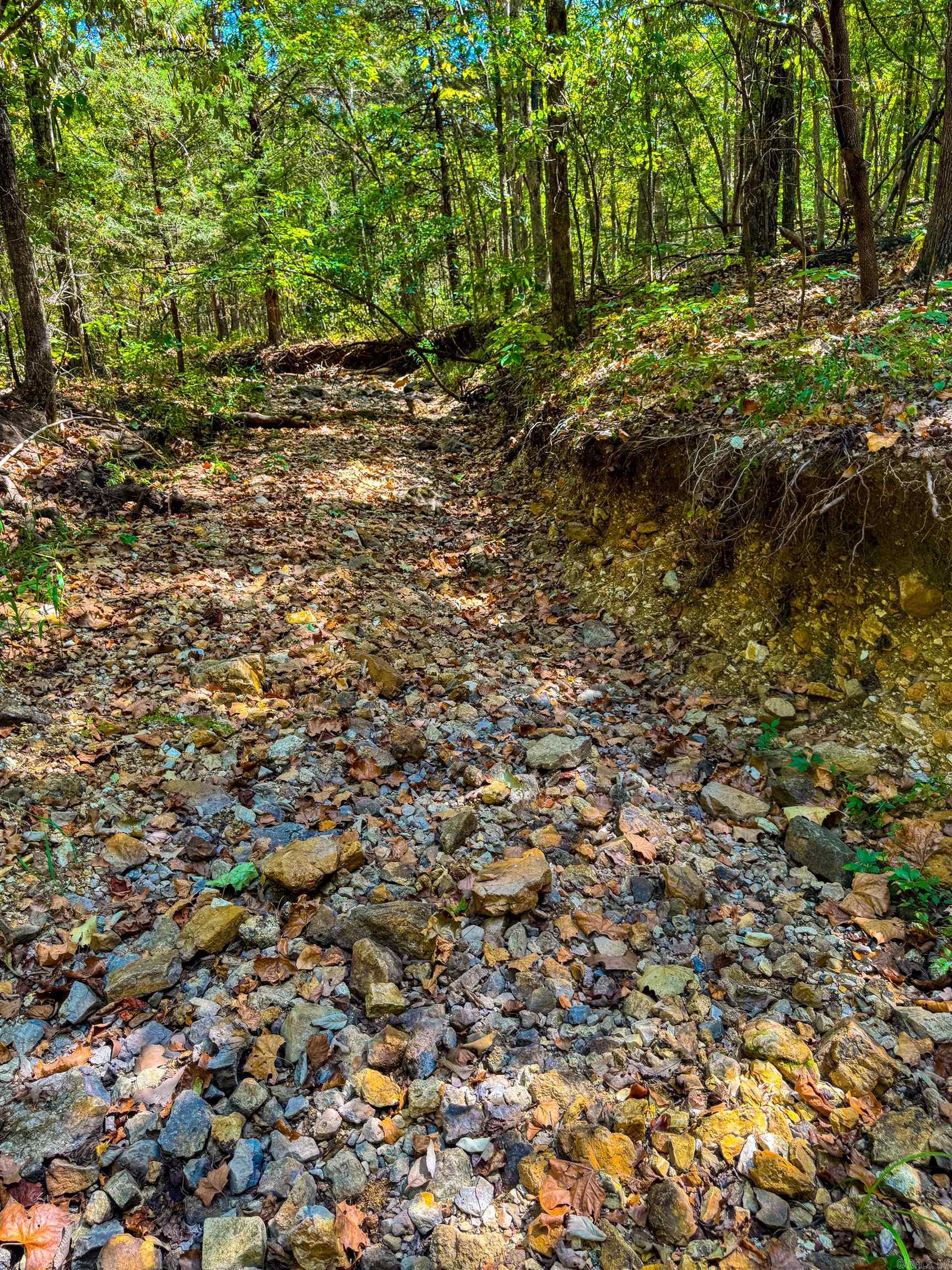 Tbd Red Fox Rd Property Photo 4