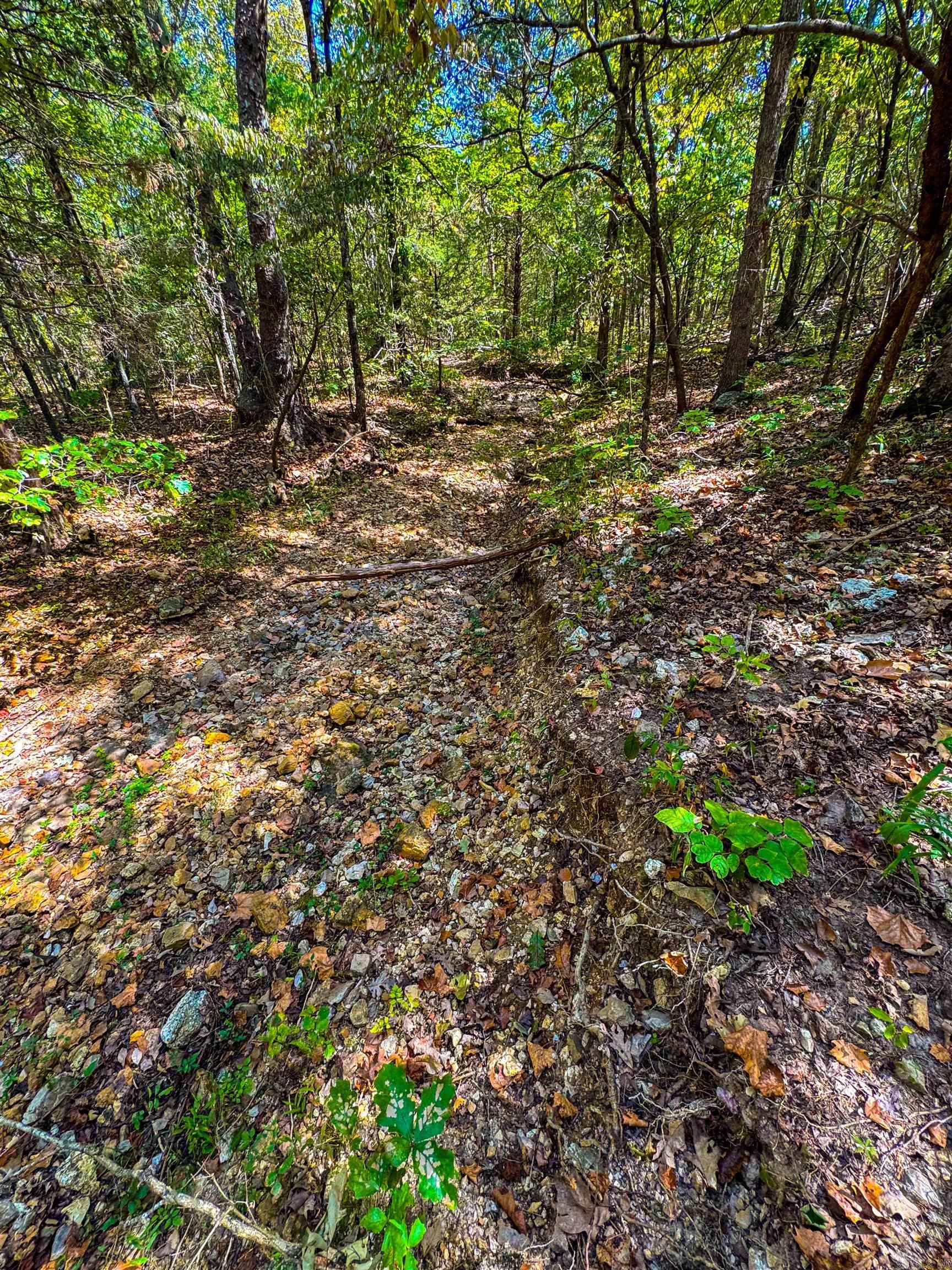 Tbd Red Fox Rd Property Photo 5