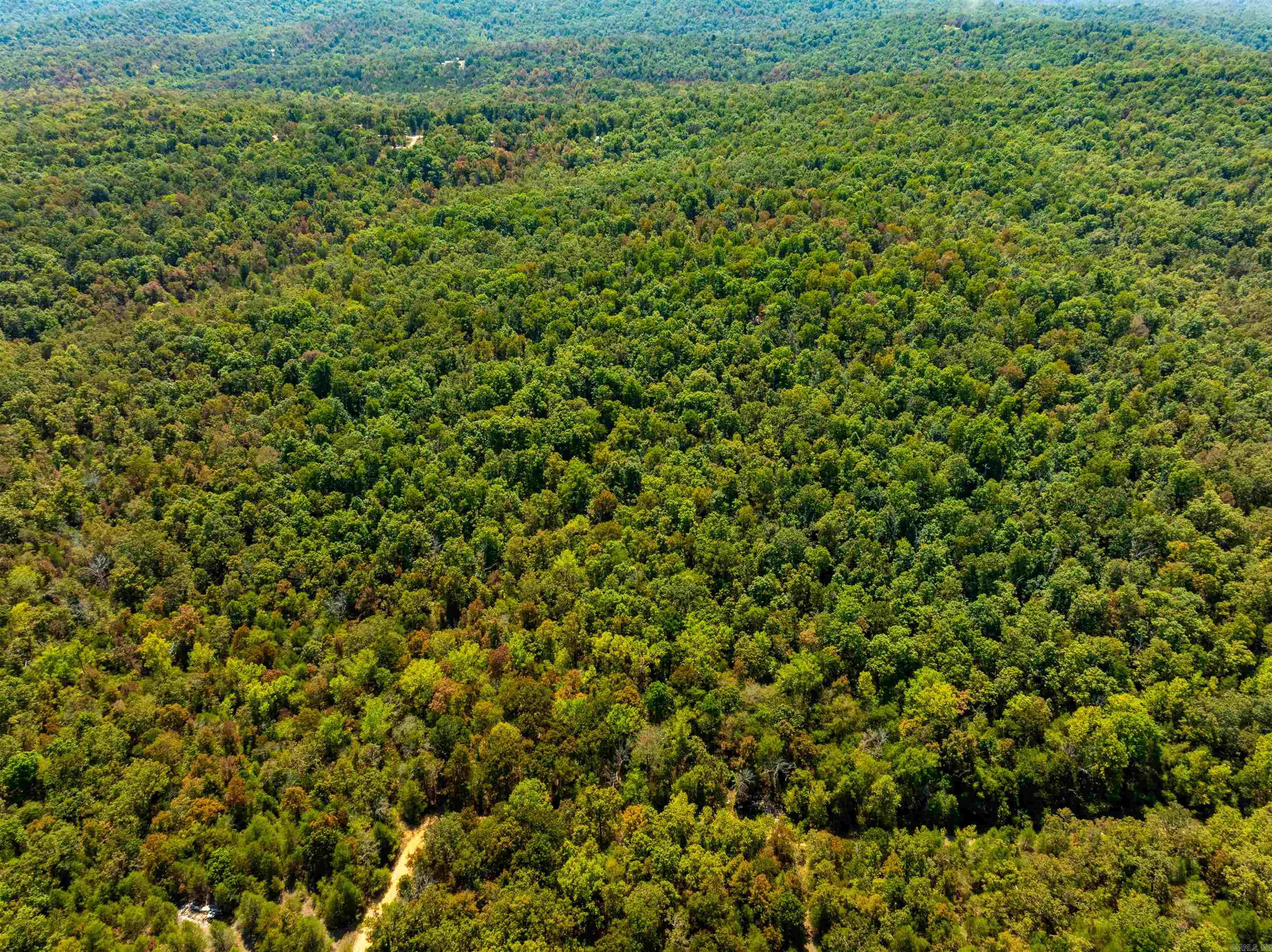 Tbd Red Fox Rd Property Photo 6