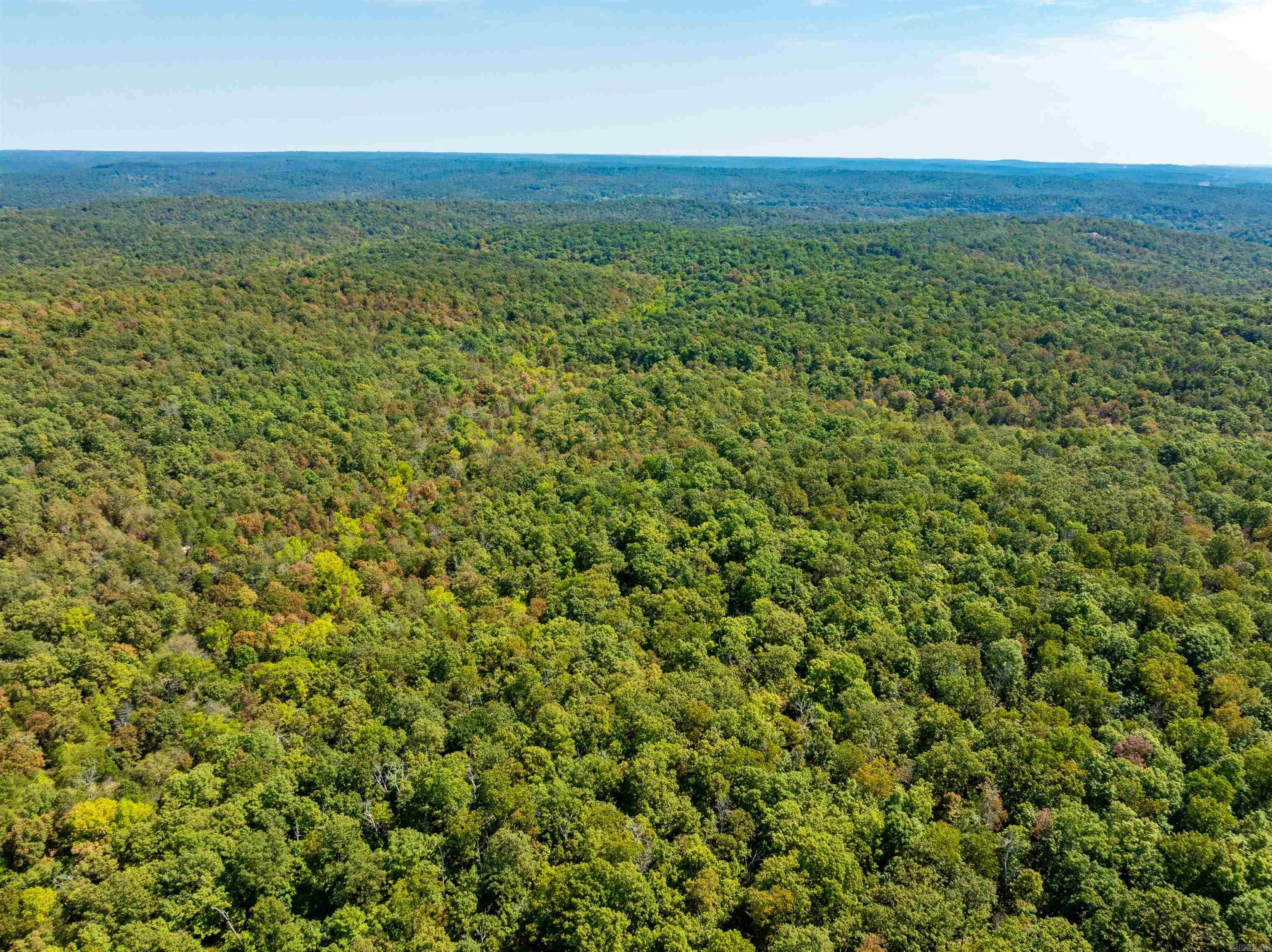 Tbd Red Fox Rd Property Photo 7
