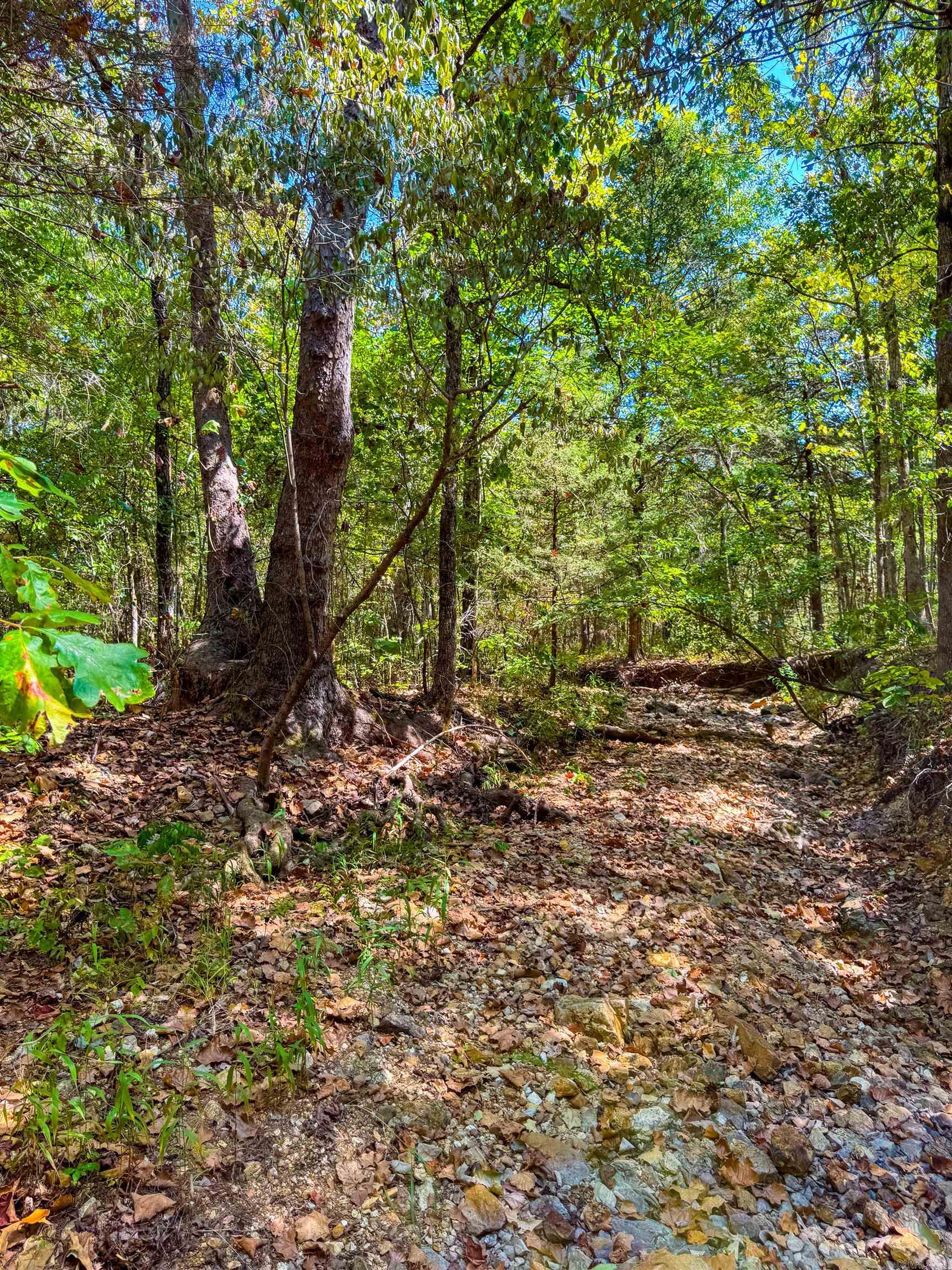 Tbd Red Fox Rd Property Photo 8