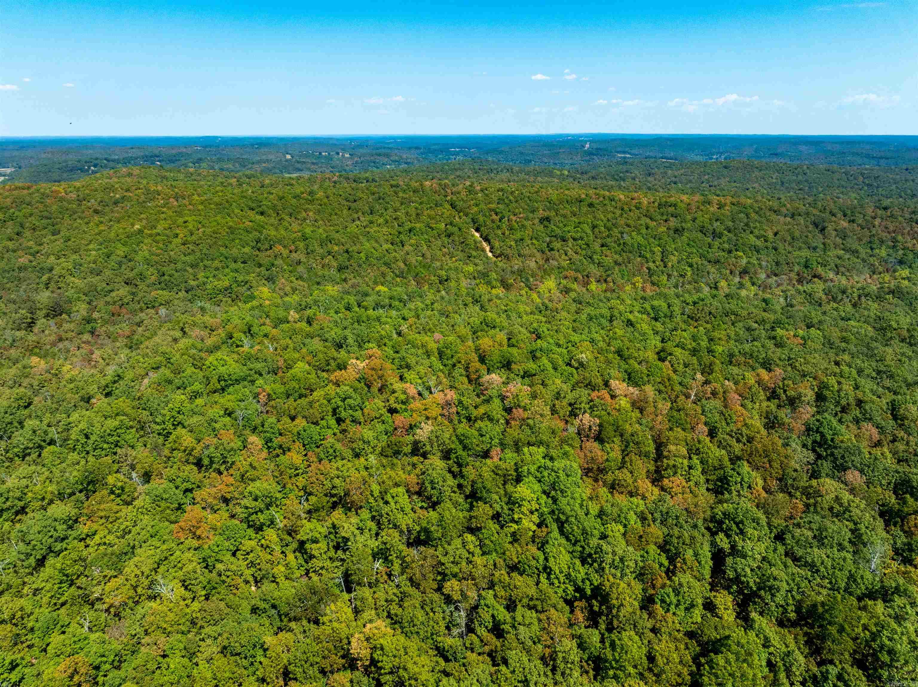 Tbd Red Fox Rd Property Photo 9