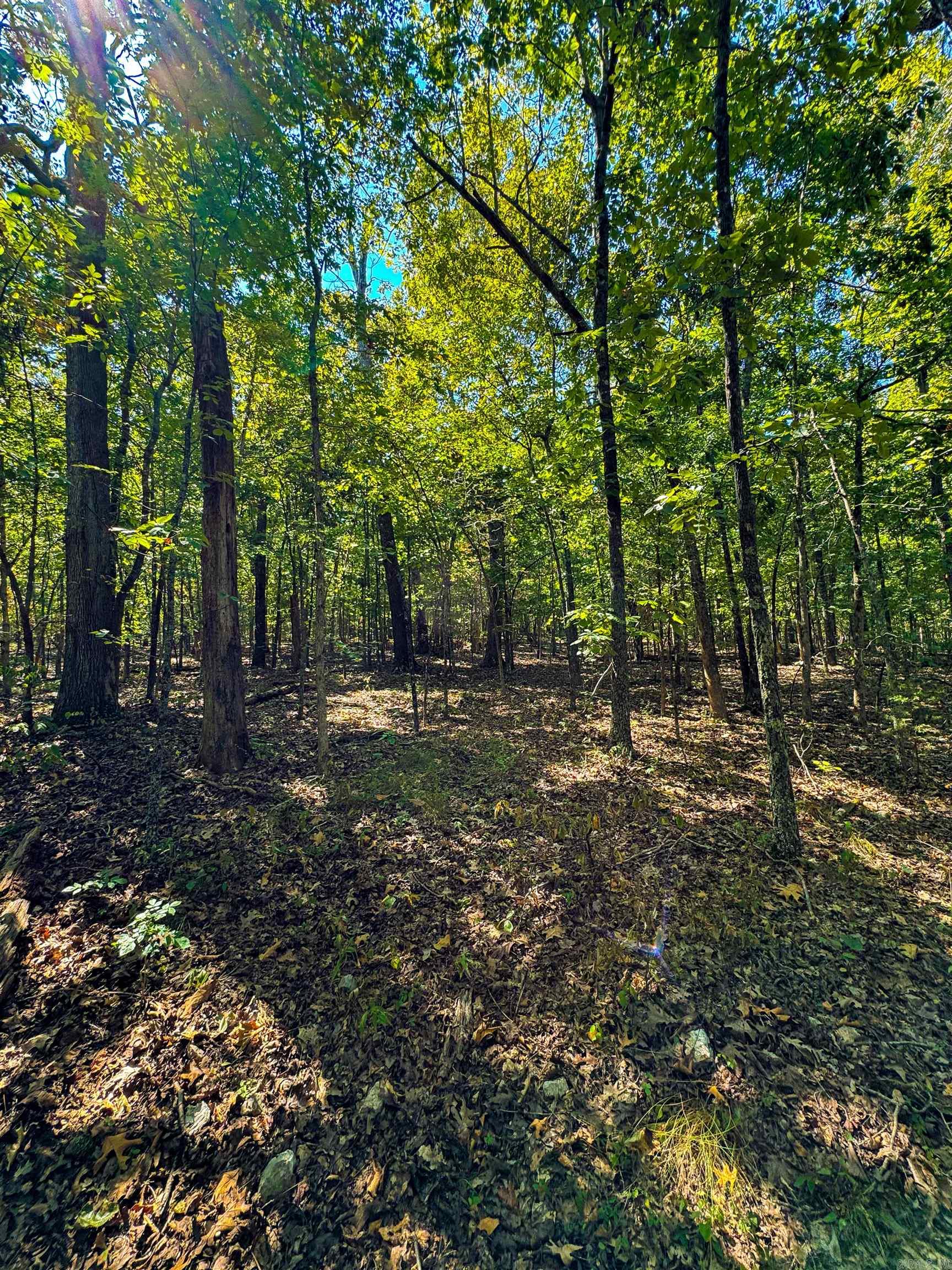 Tbd Red Fox Rd Property Photo 10