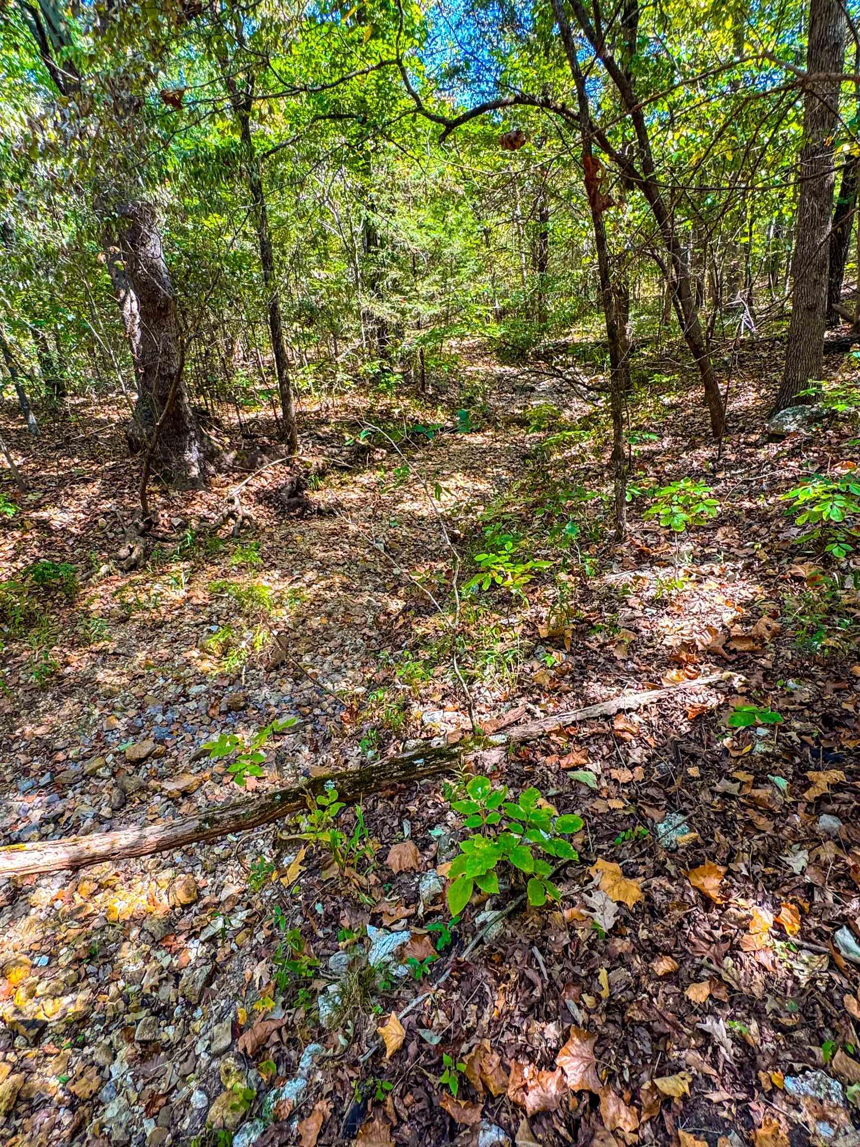 Tbd Red Fox Rd Property Photo 12