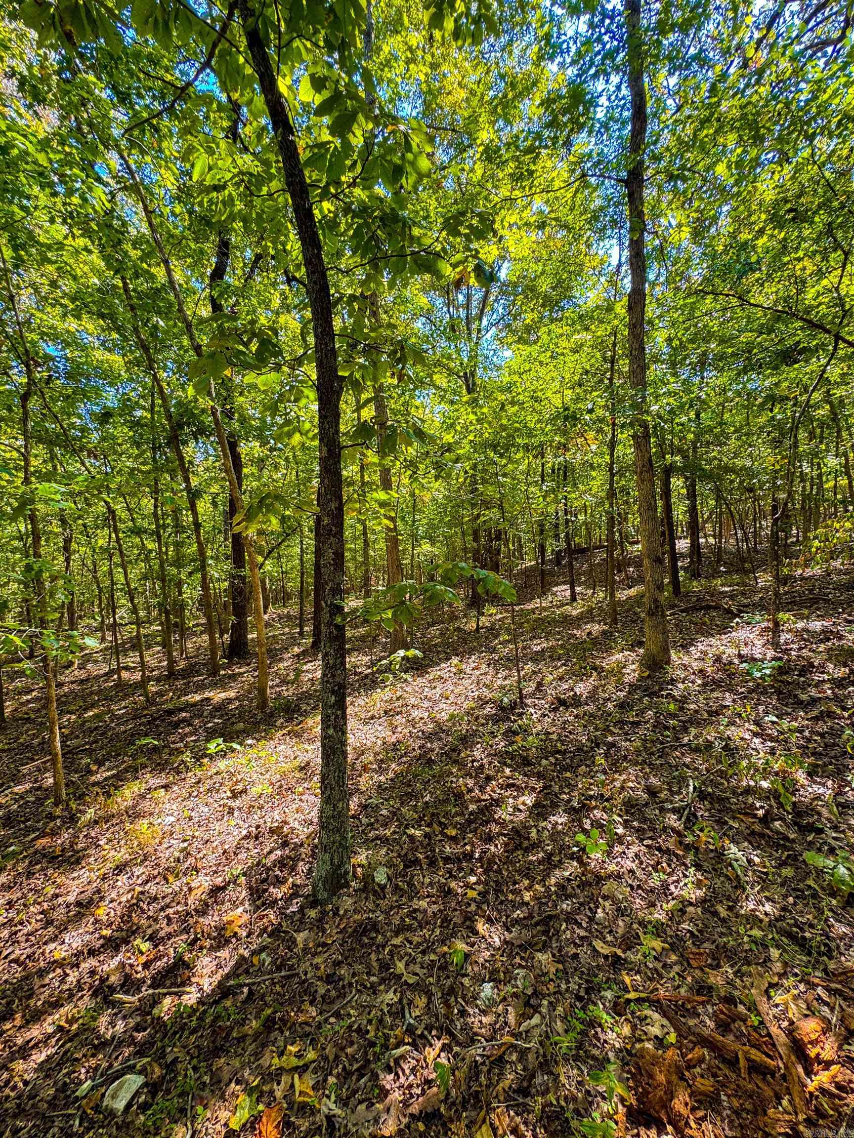 Tbd Red Fox Rd Property Photo 13