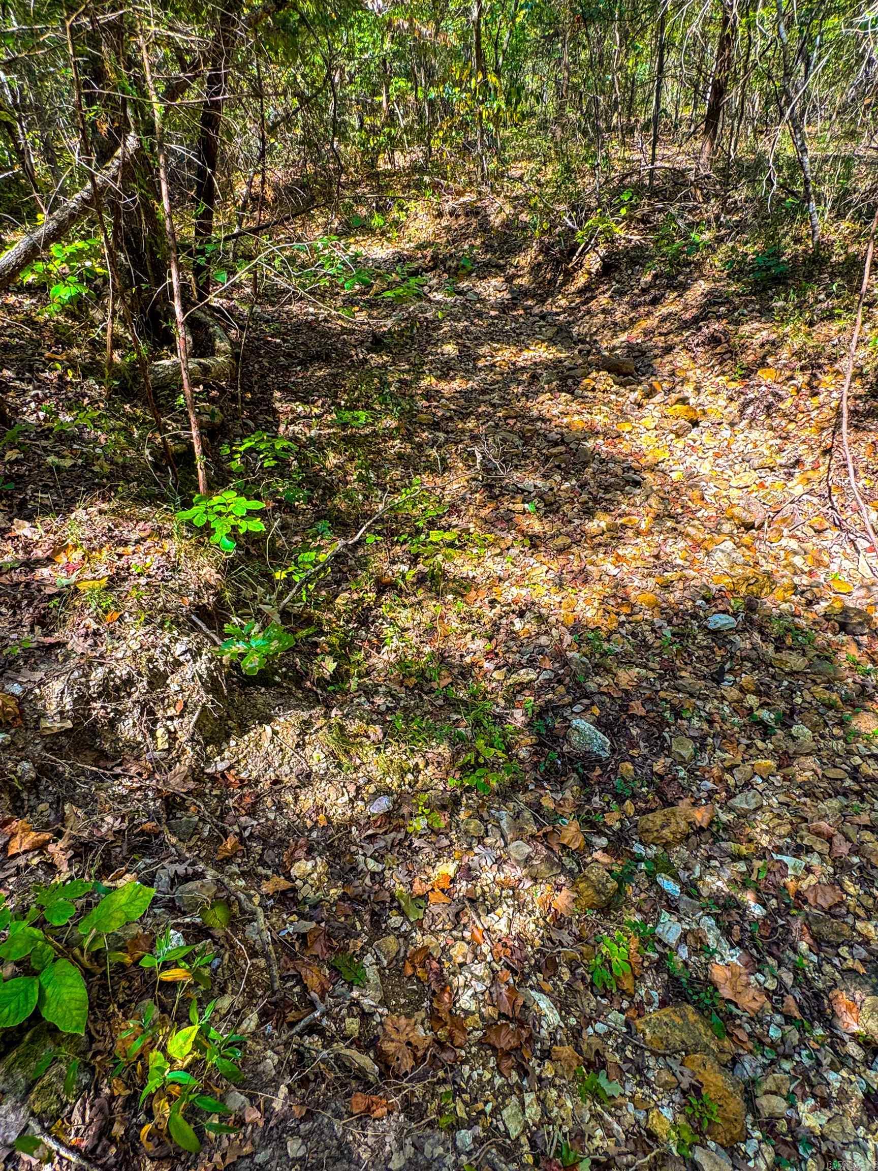 Tbd Red Fox Rd Property Photo 14