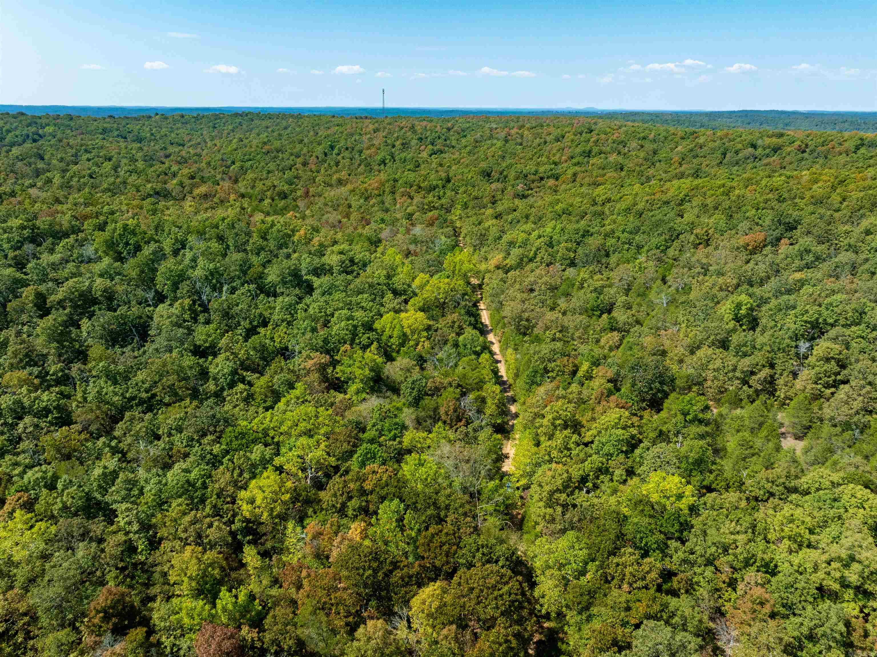 Tbd Red Fox Rd Property Photo 16