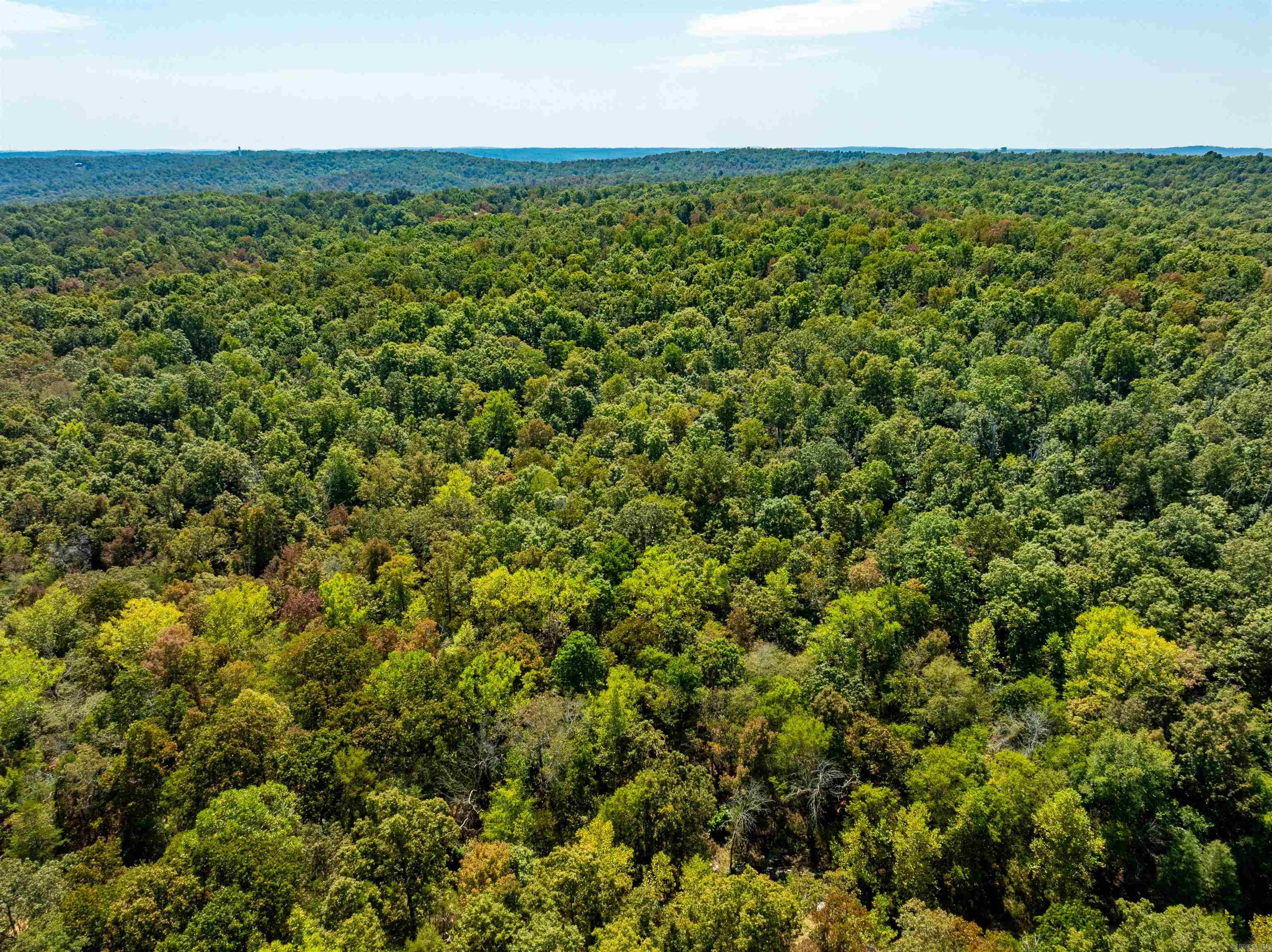Tbd Red Fox Rd Property Photo 17