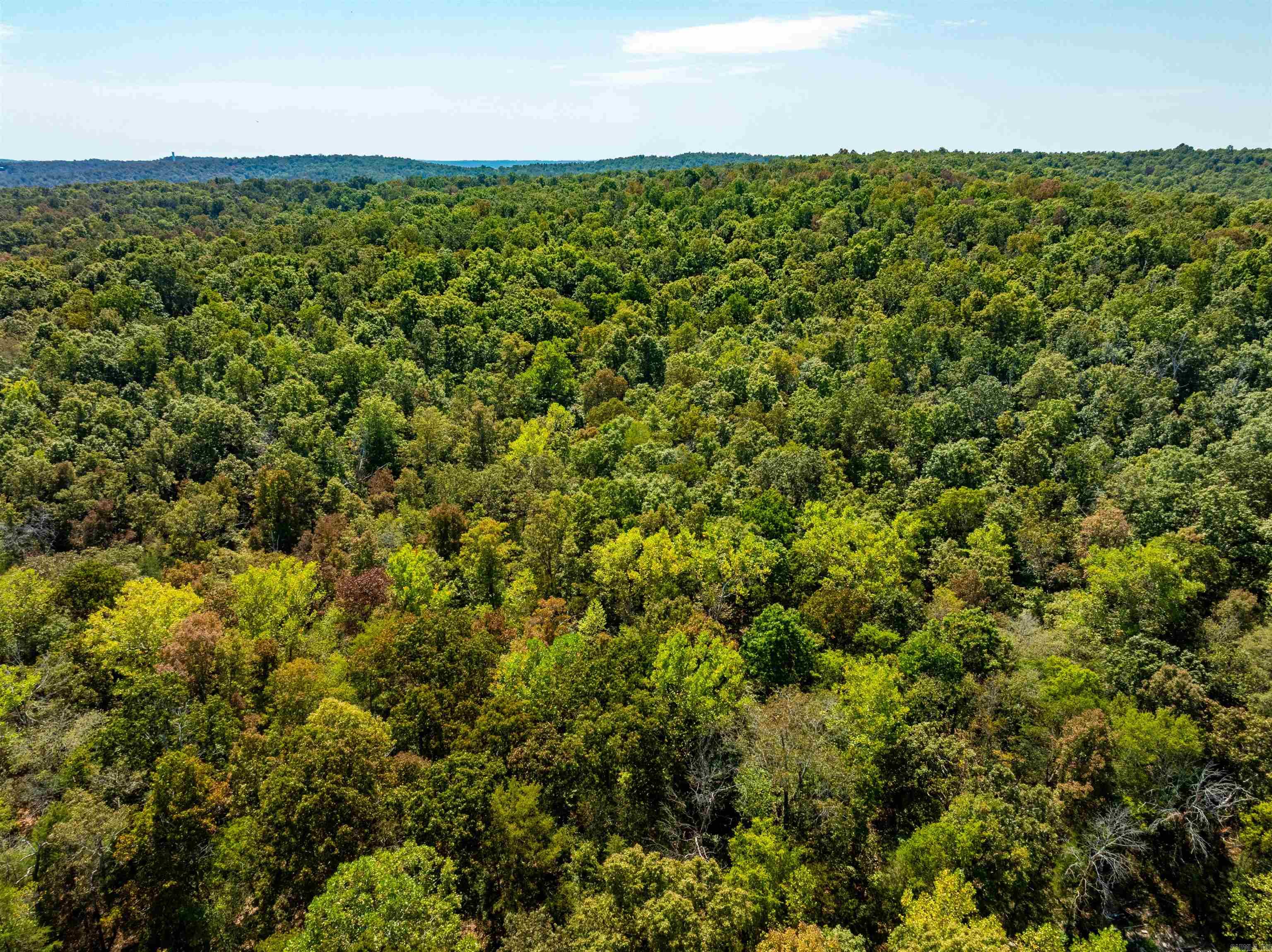 Tbd Red Fox Rd Property Photo 19