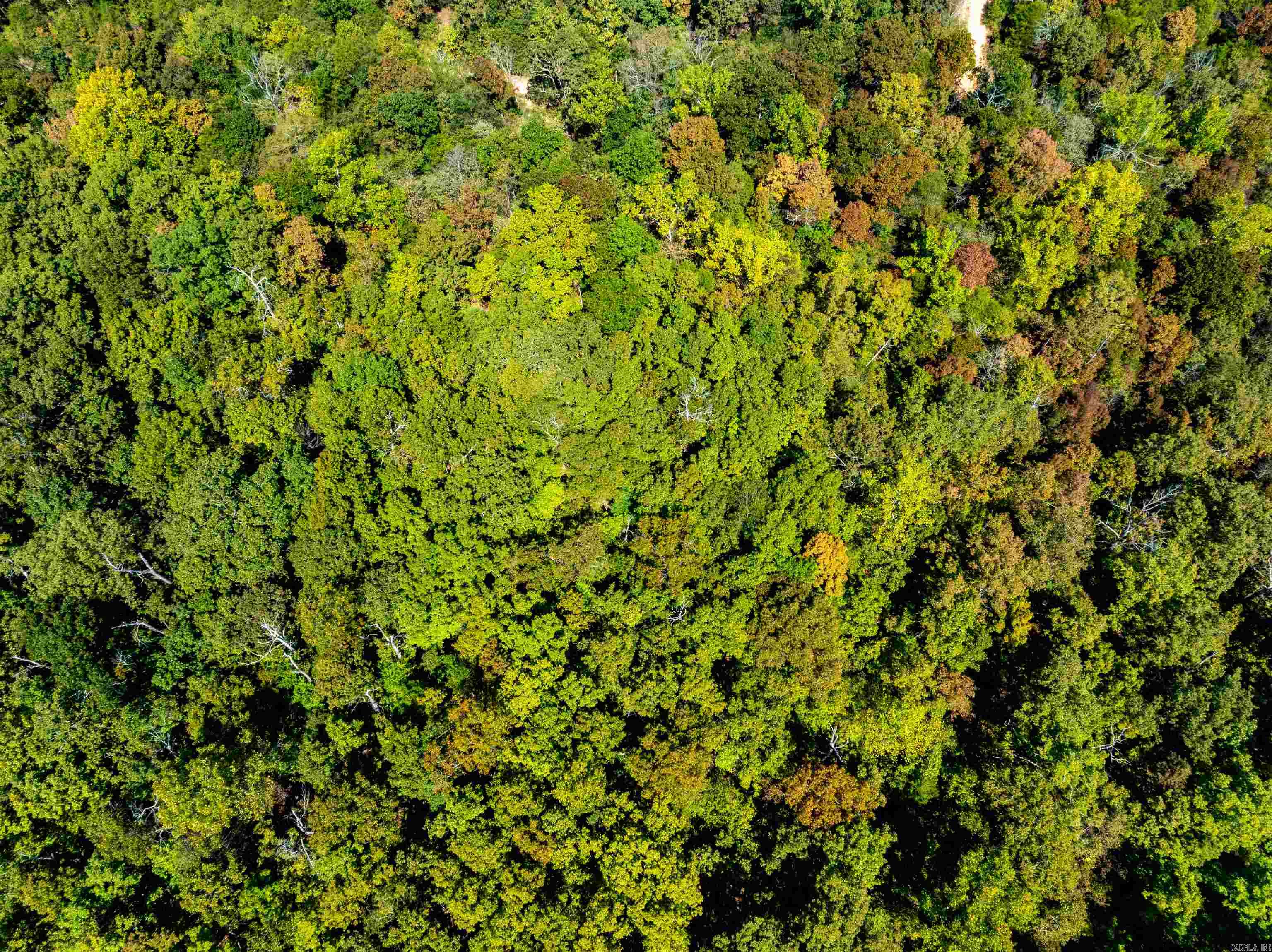 Tbd Red Fox Rd Property Photo 21