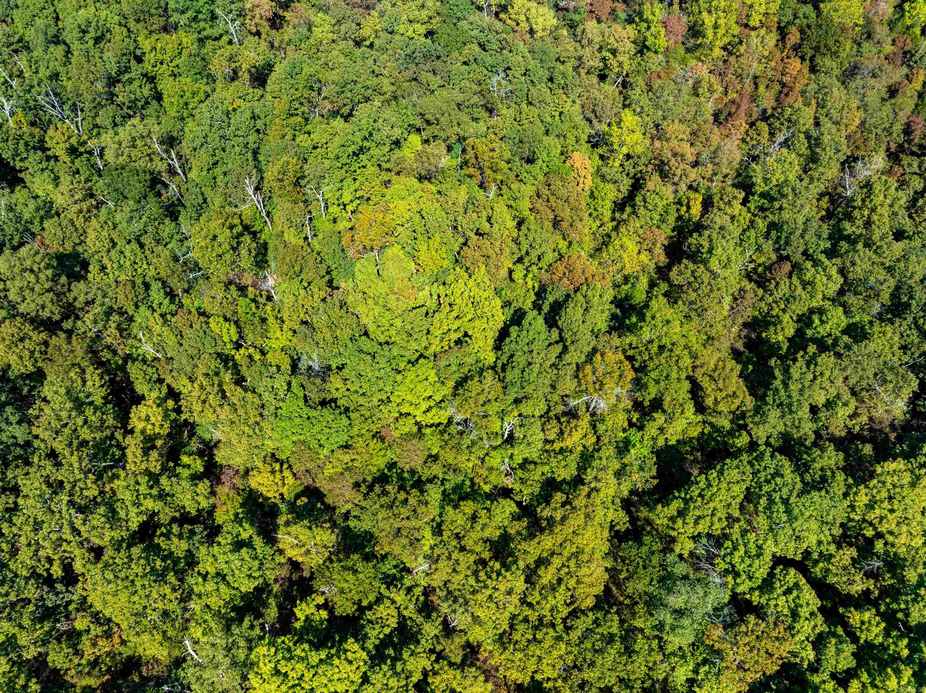 Tbd Red Fox Rd Property Photo 22