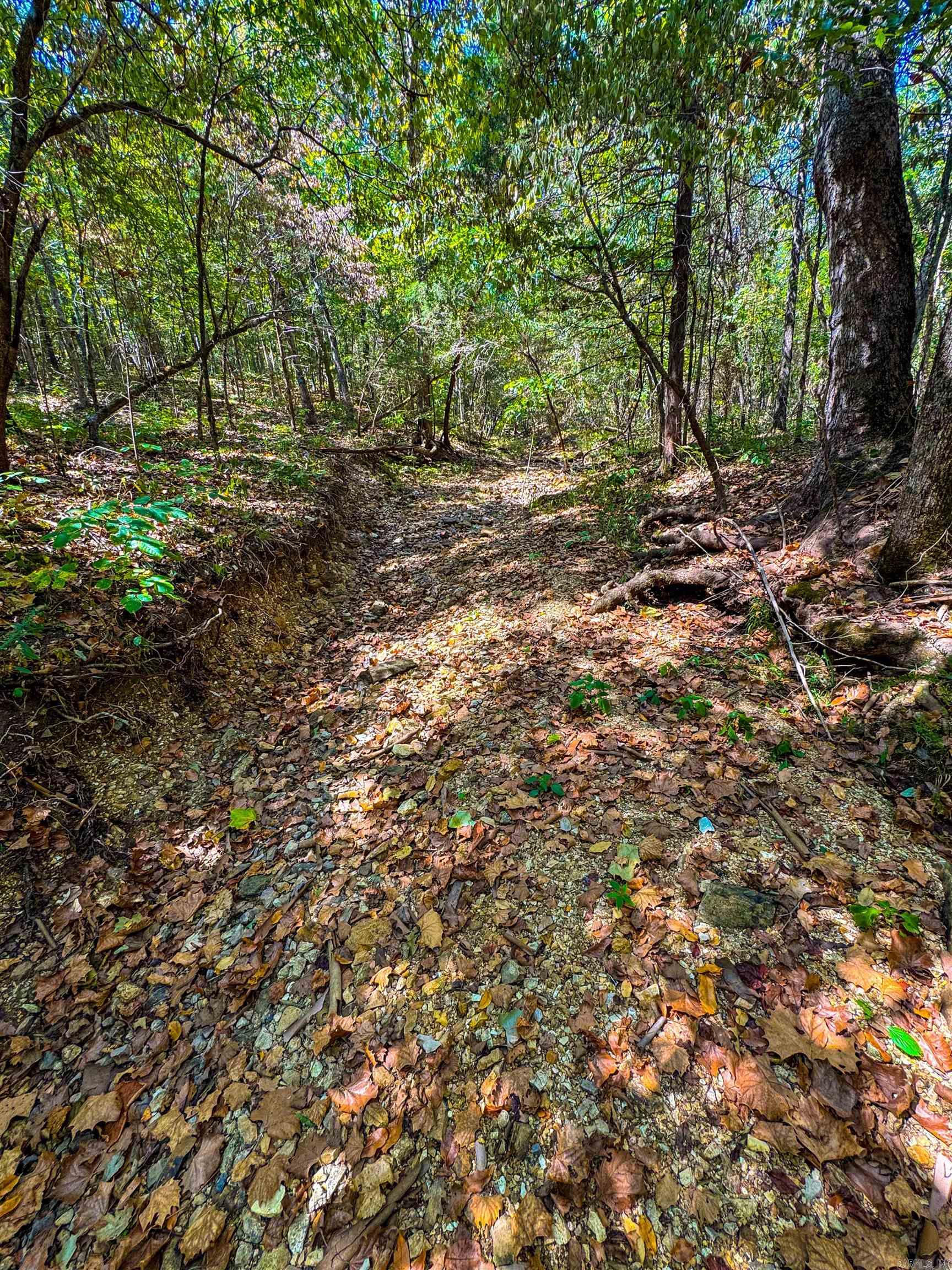 Tbd Red Fox Rd Property Photo 25