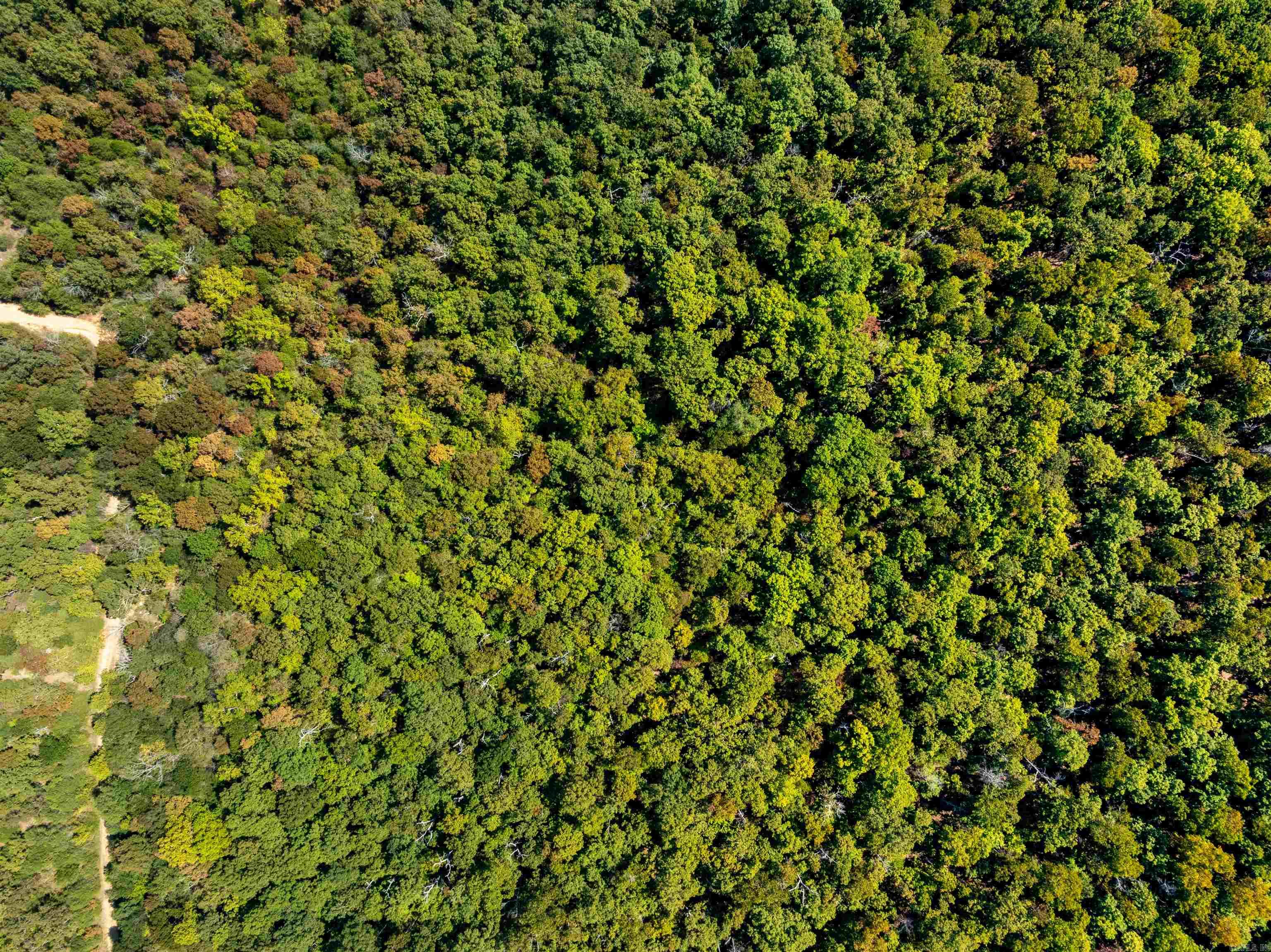 Tbd Red Fox Rd Property Photo 26