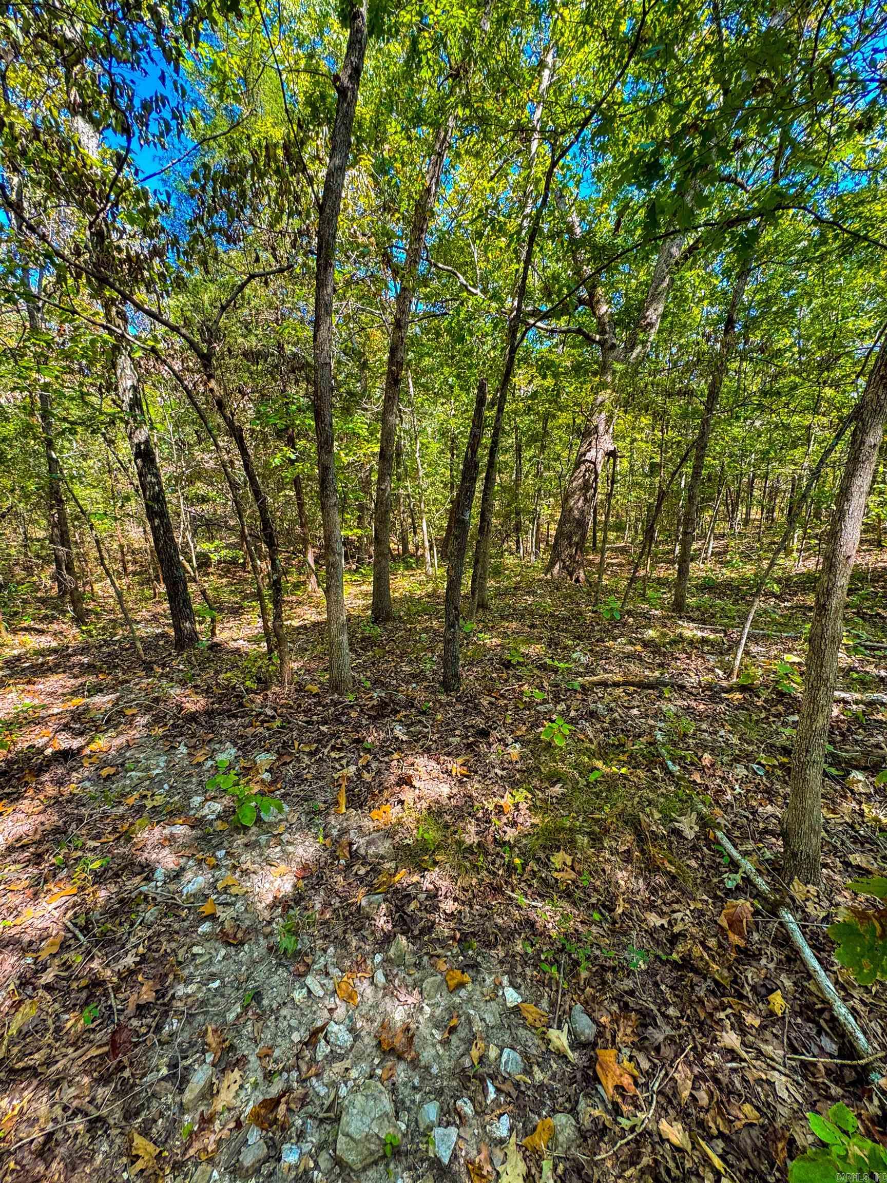 Tbd Red Fox Rd Property Photo 27