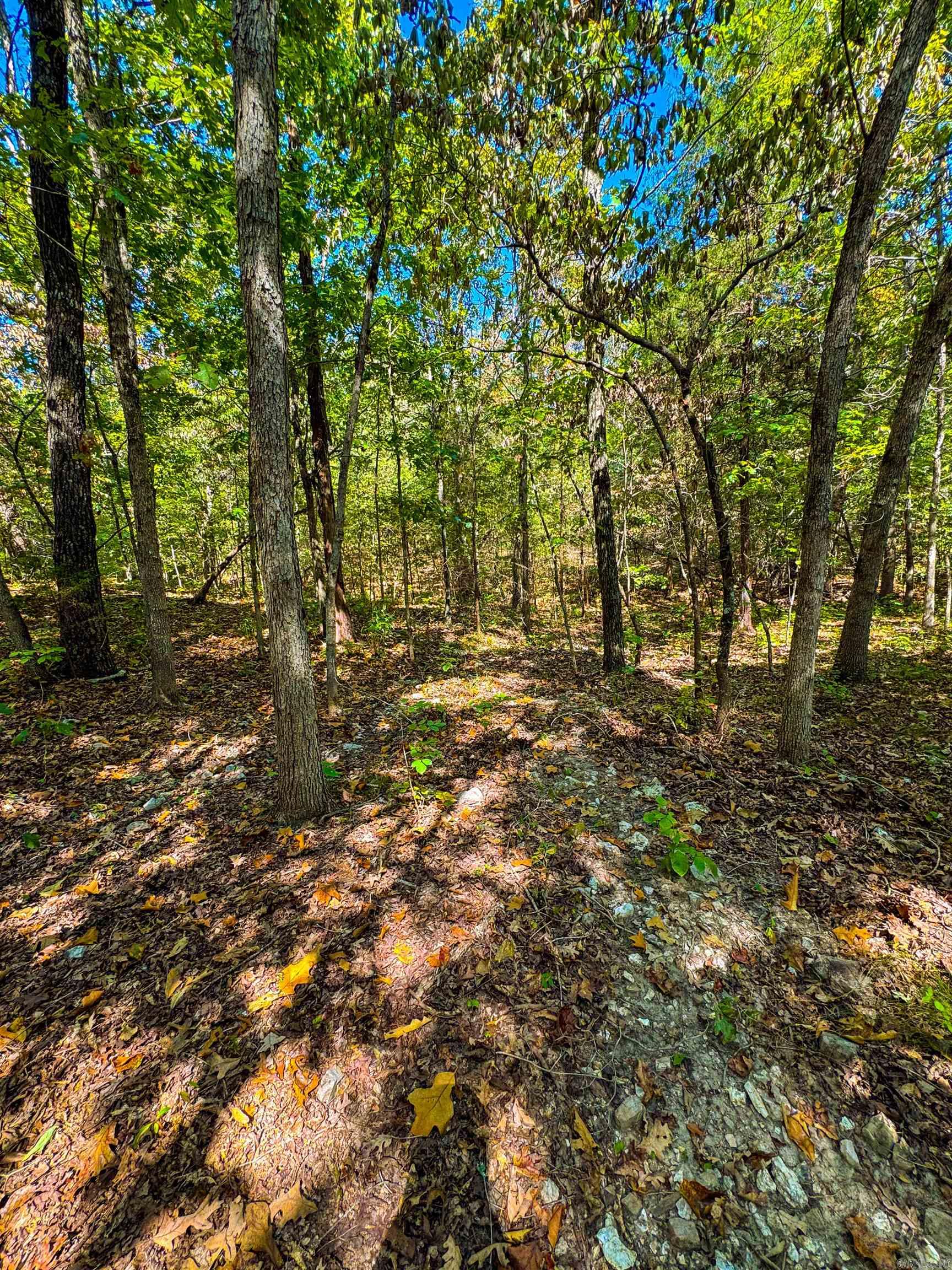 Tbd Red Fox Rd Property Photo 28